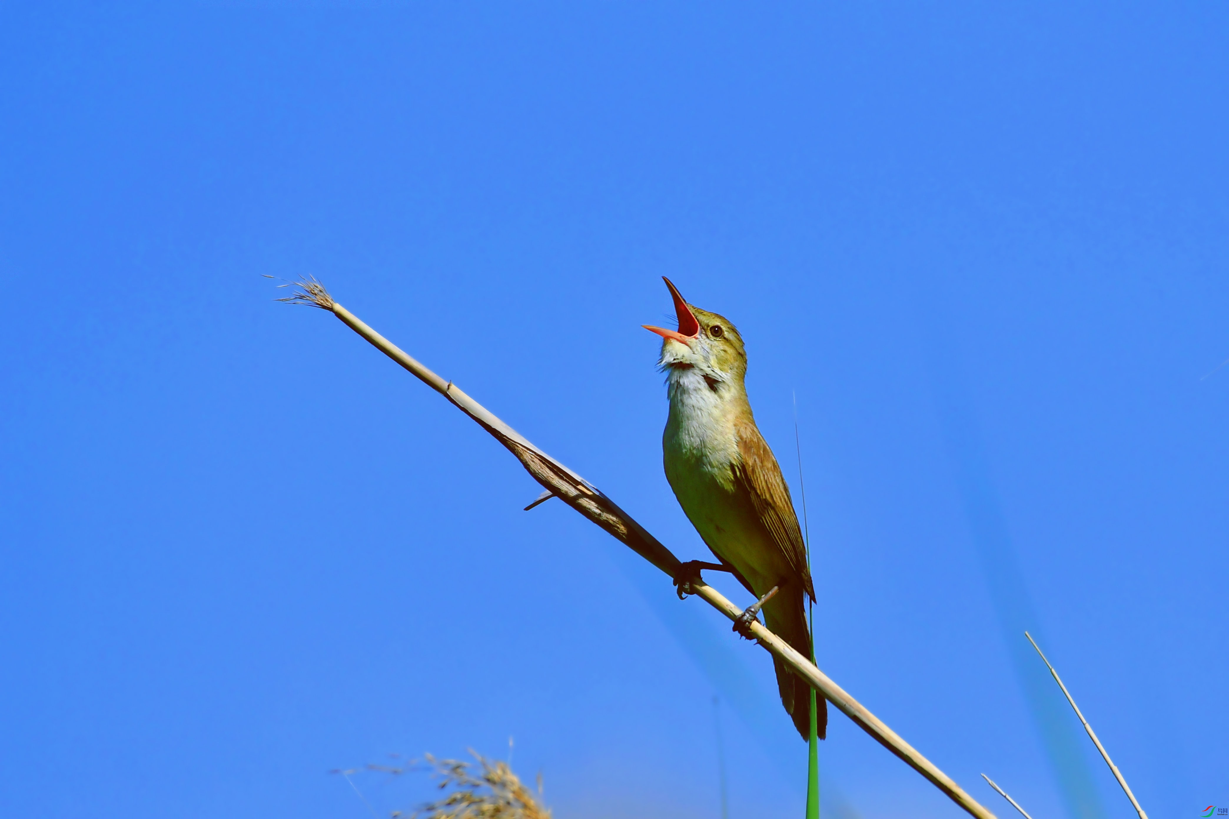 DSC_2681.JPG