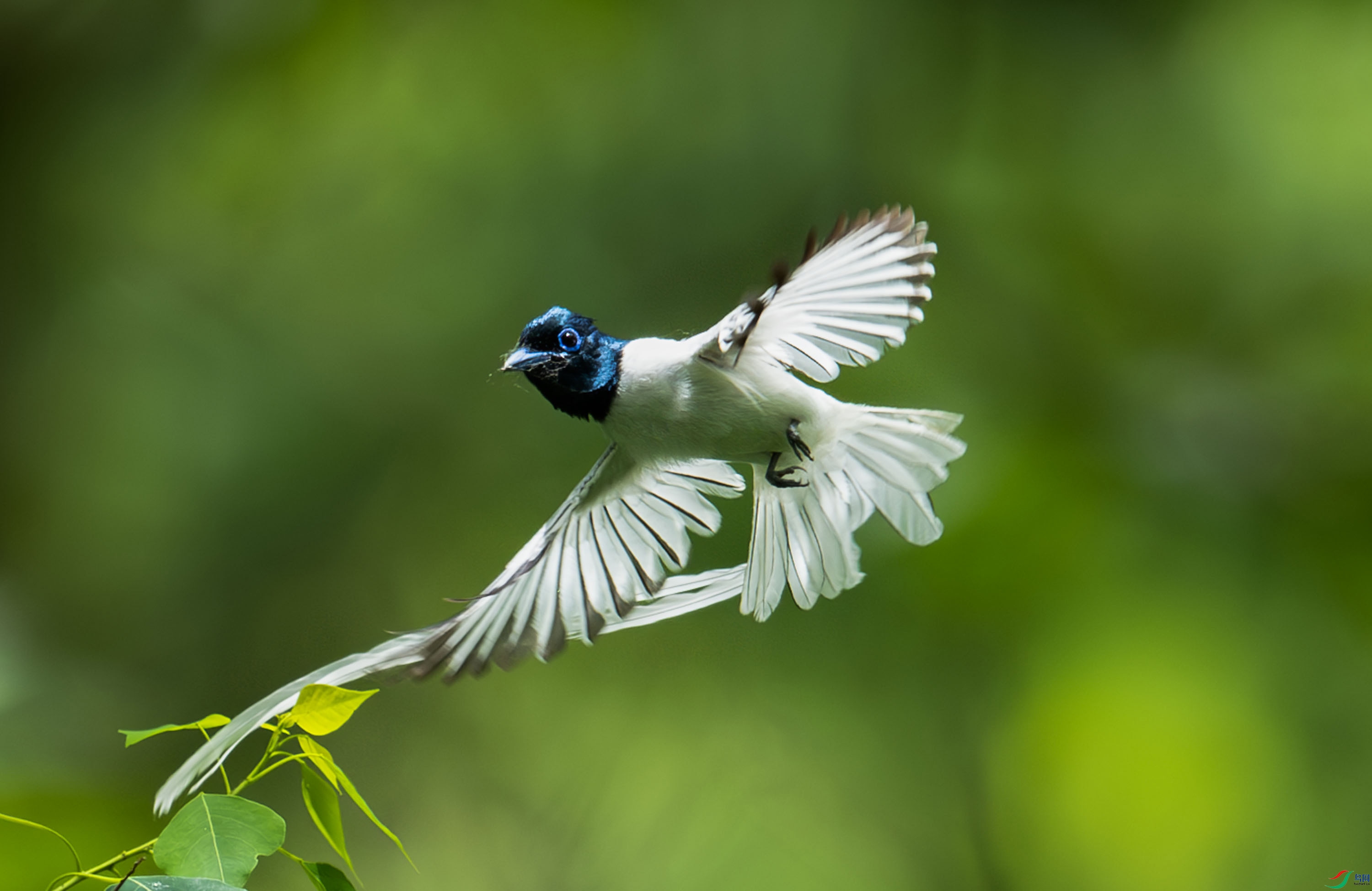 DSC_3695-����ǿ-NR.jpg