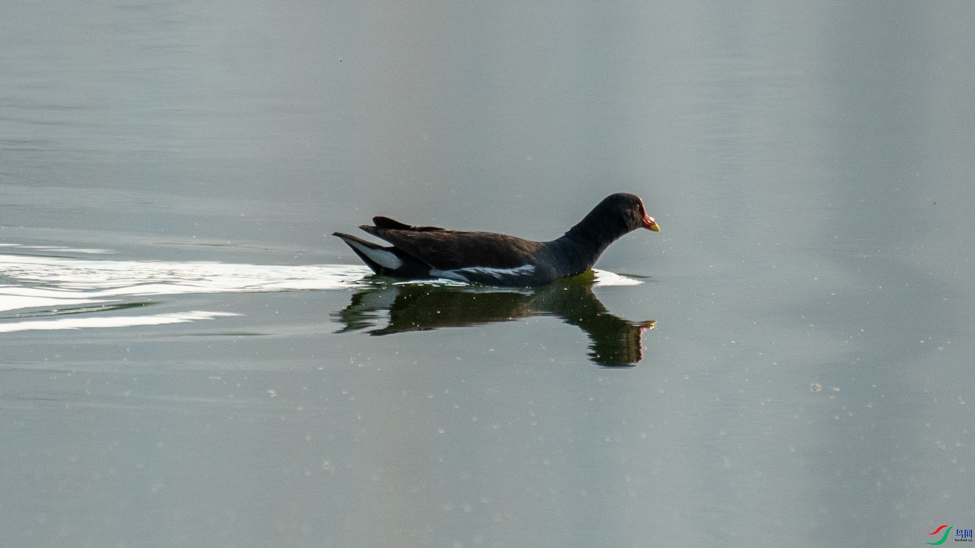 _DSC8086.jpg