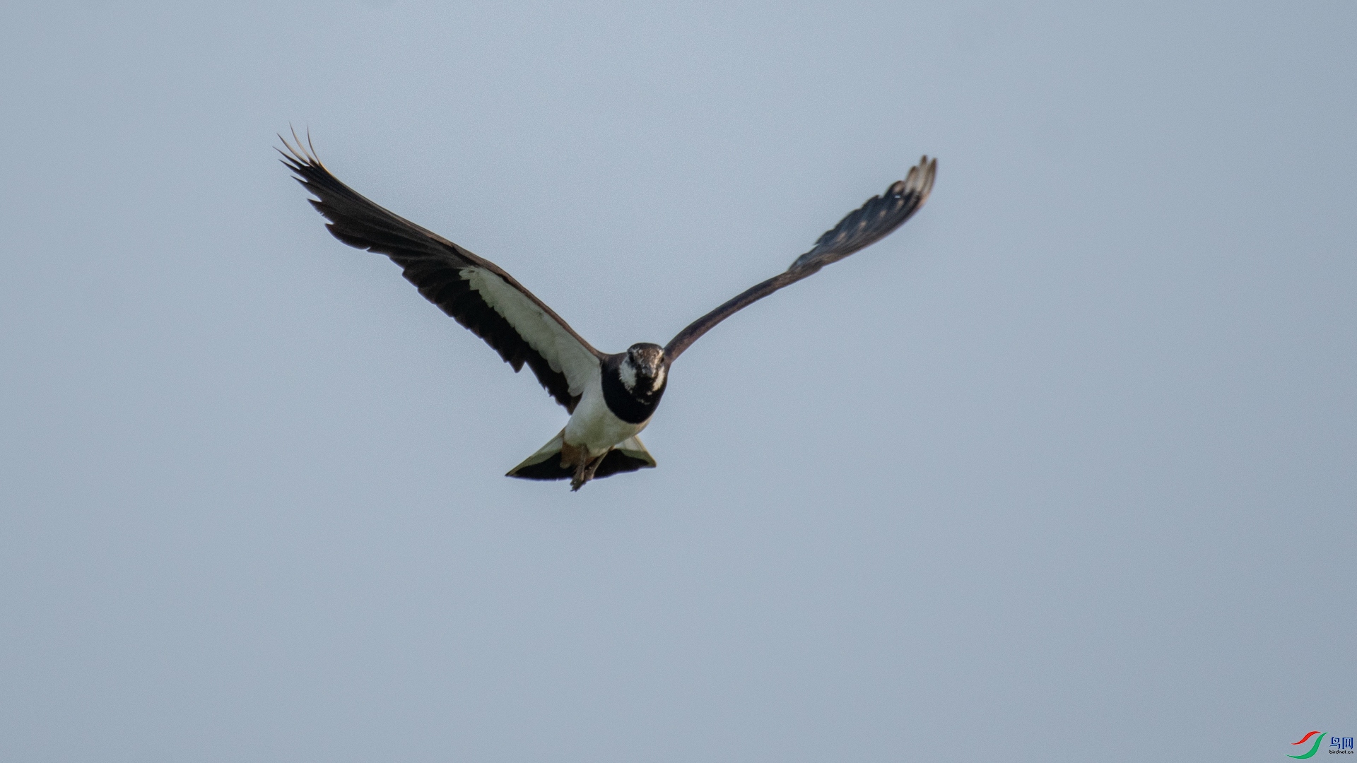 _DSC8097.jpg