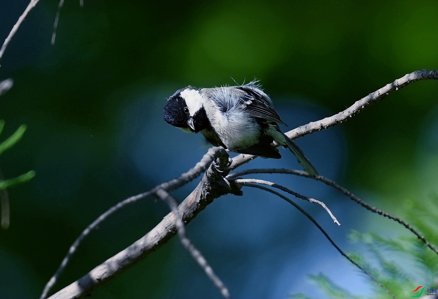DSC_0146_.jpg