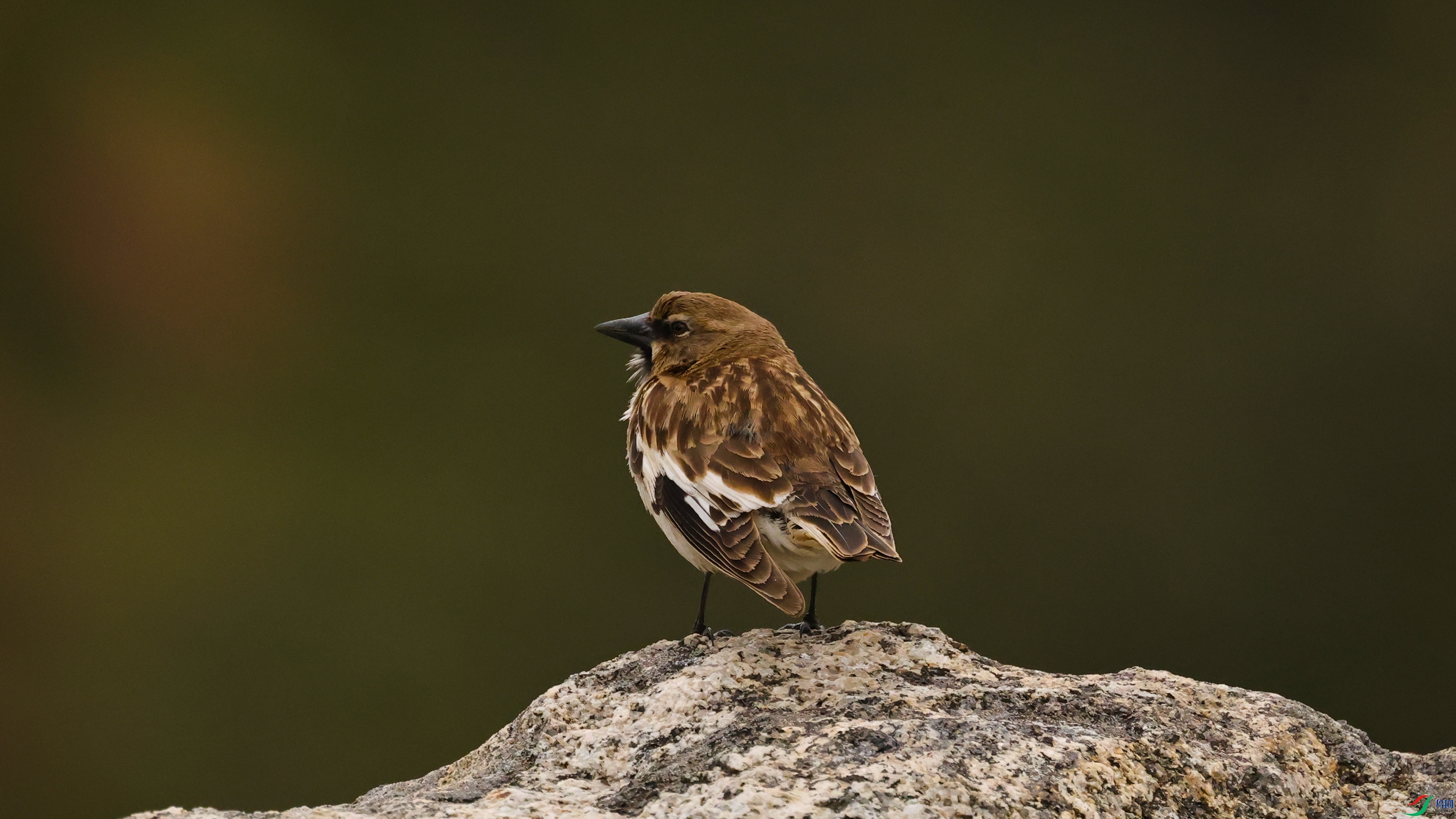 7X5A6281 ����55555.jpg