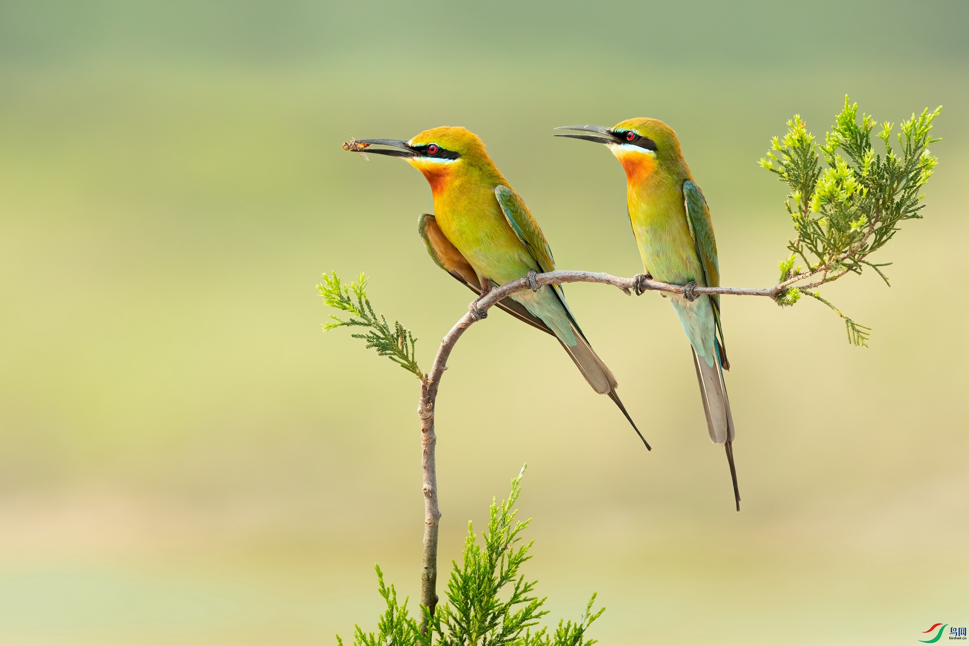 B86I7142_����.jpg