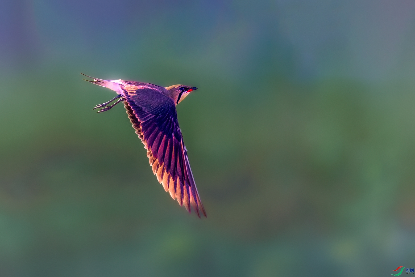 ���a----�й�Ͳ���