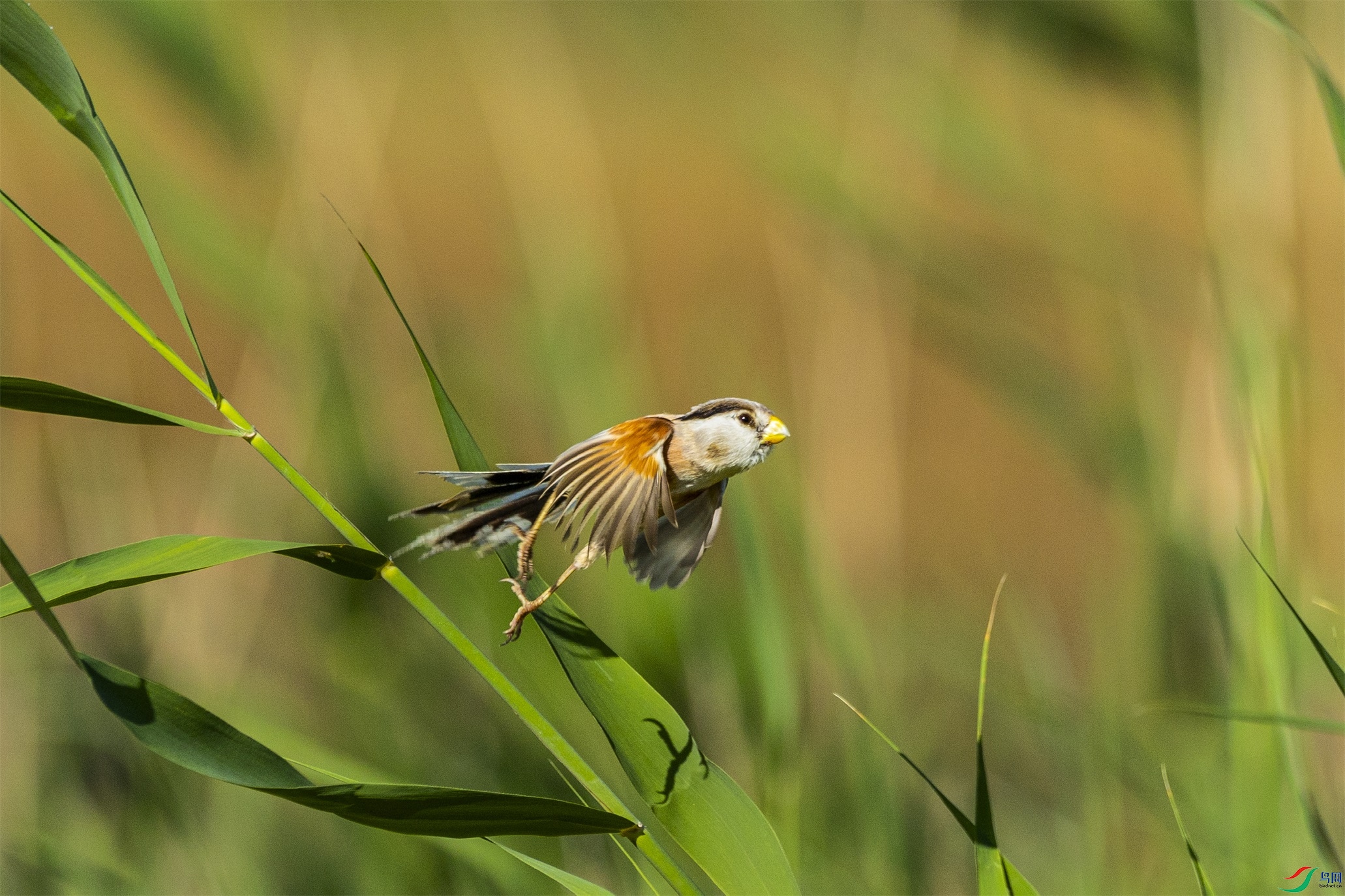 1K3A4644 ����1.jpg