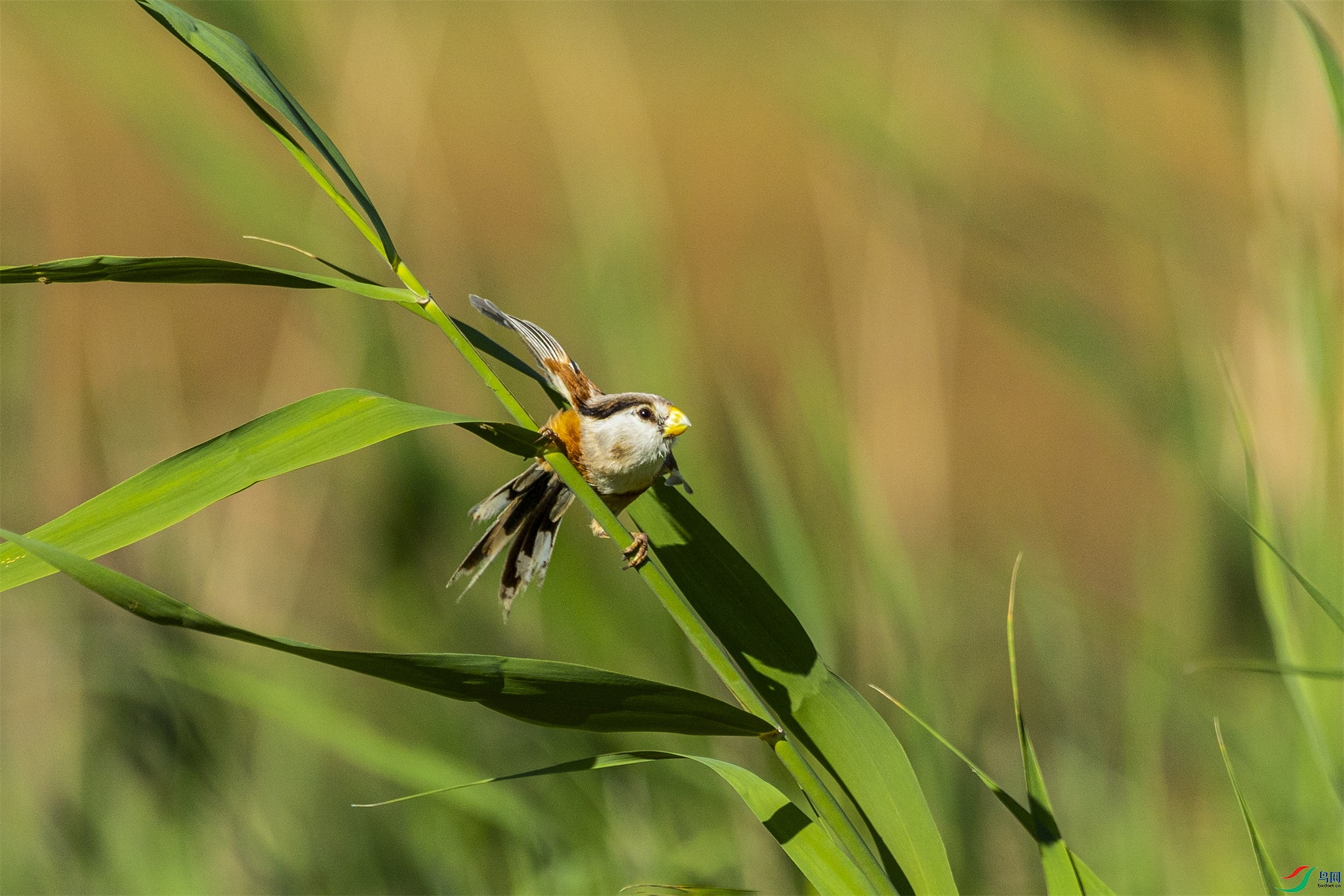 1K3A4643 ����1.jpg