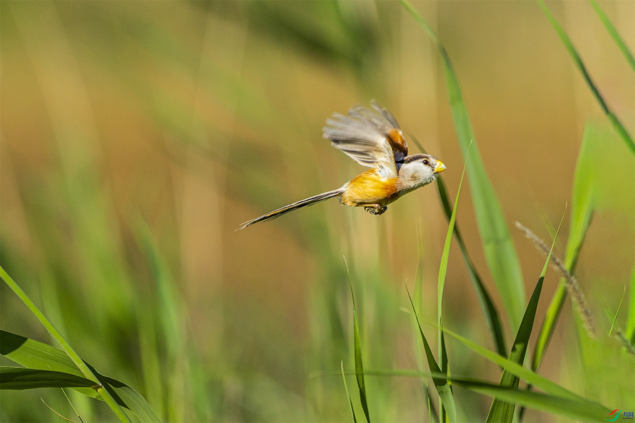 1K3A4647 ����1.jpg