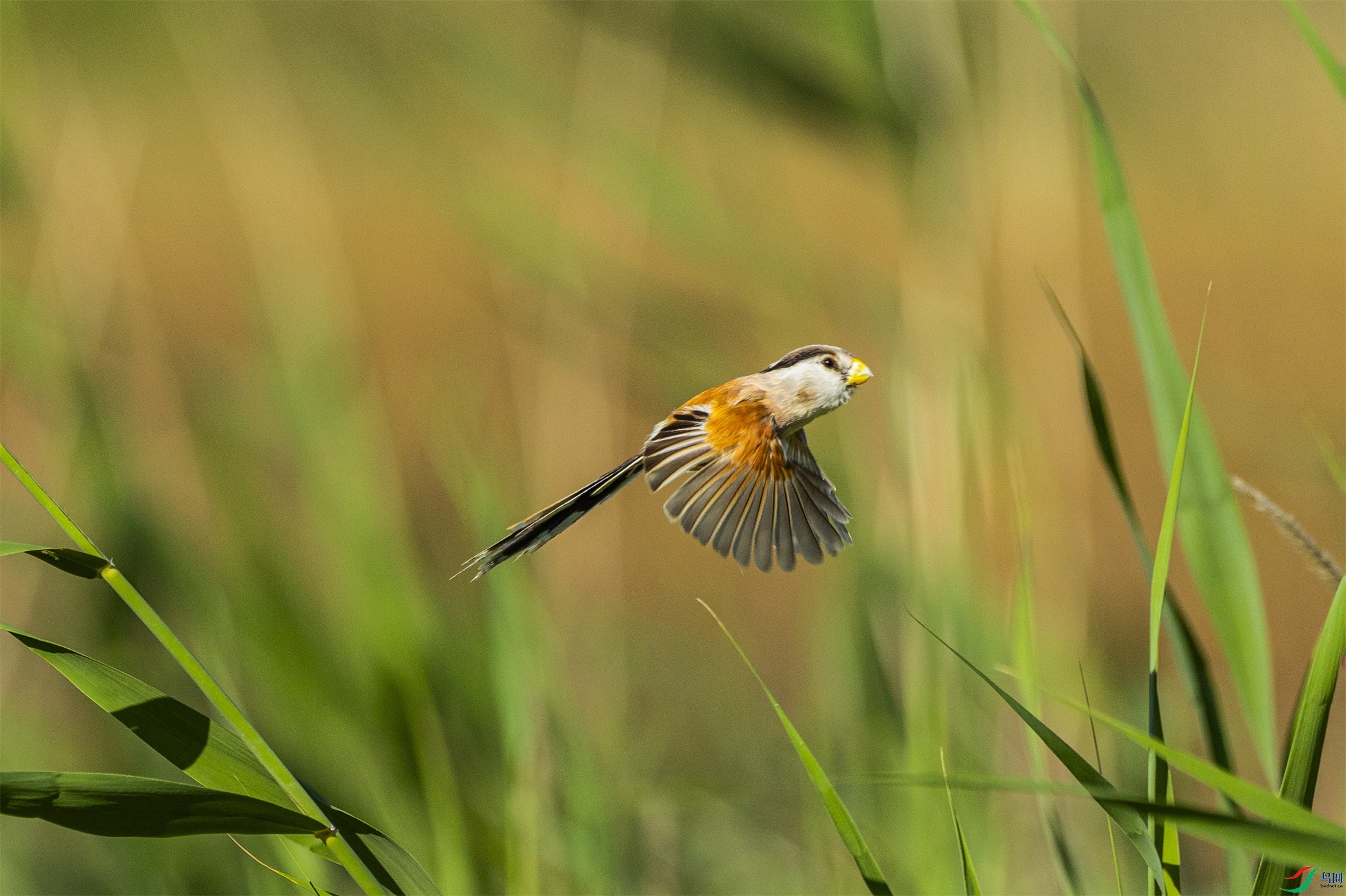 1K3A4646 ����1.jpg