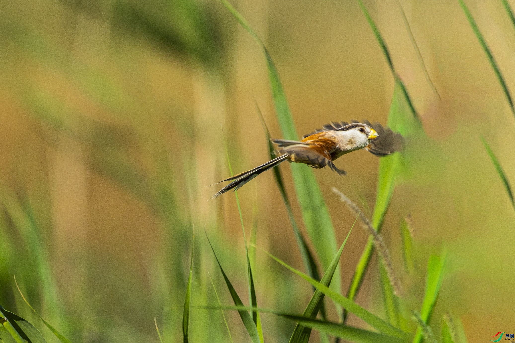 1K3A4648 ����1.jpg