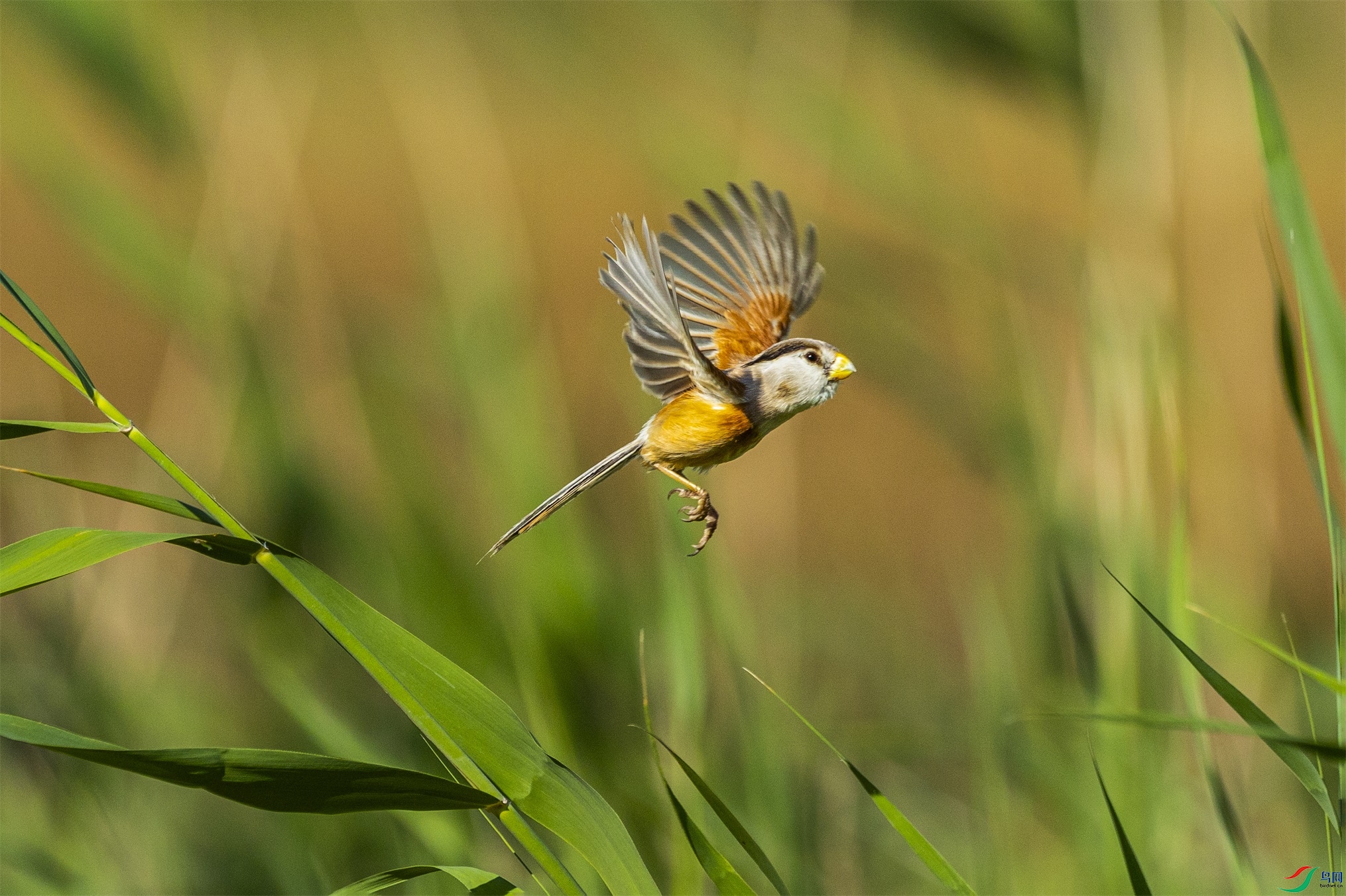 1K3A4645 ����1.jpg