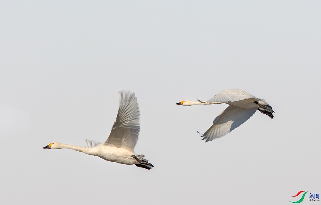 7V1A7884-����ǿ-NR ����.jpg