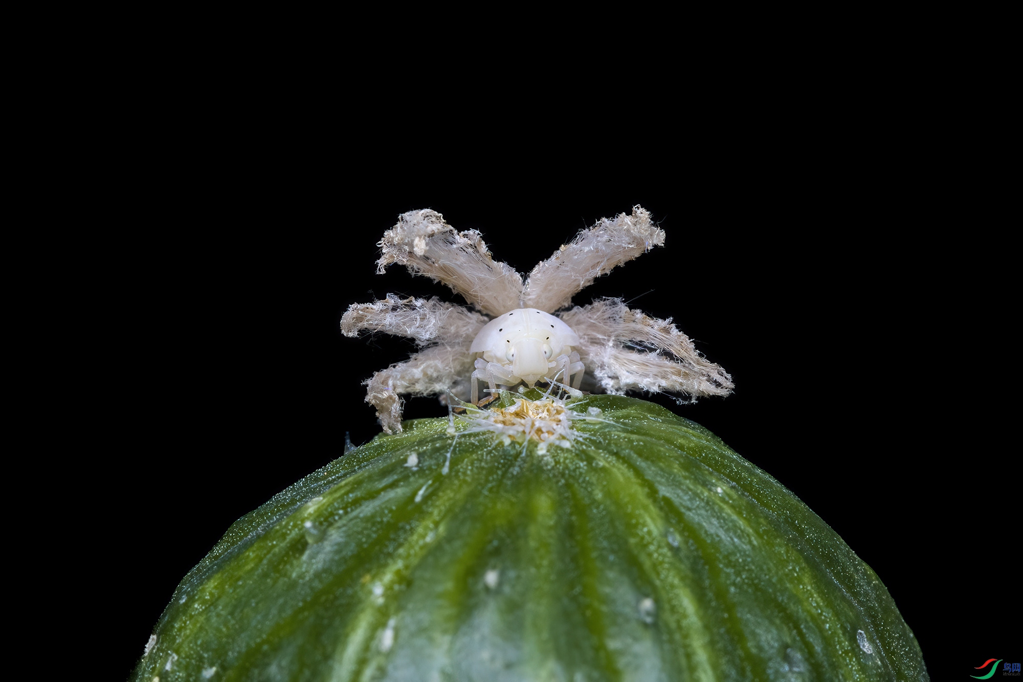 5A7A0439 ���� 3.jpg