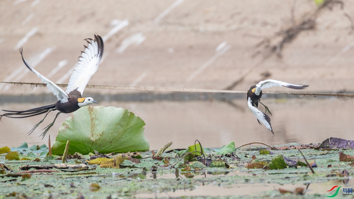 _B6I5791.jpg