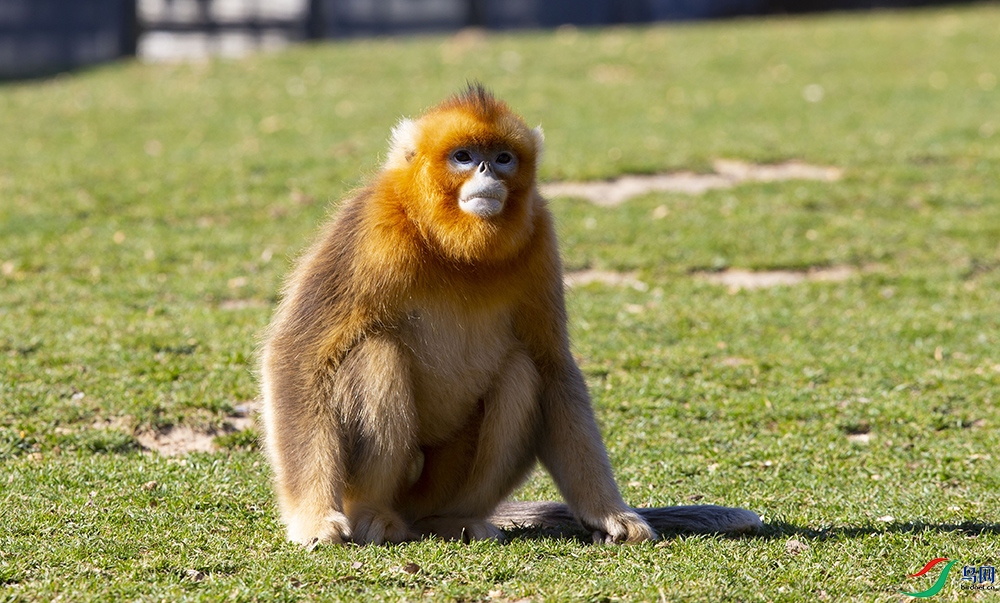 ��˿�� (3).jpg