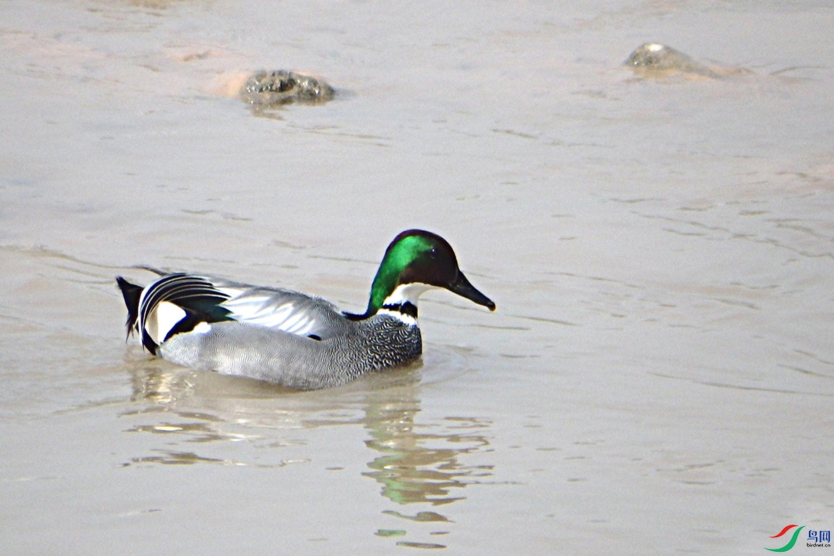 IMG_0346.jpg