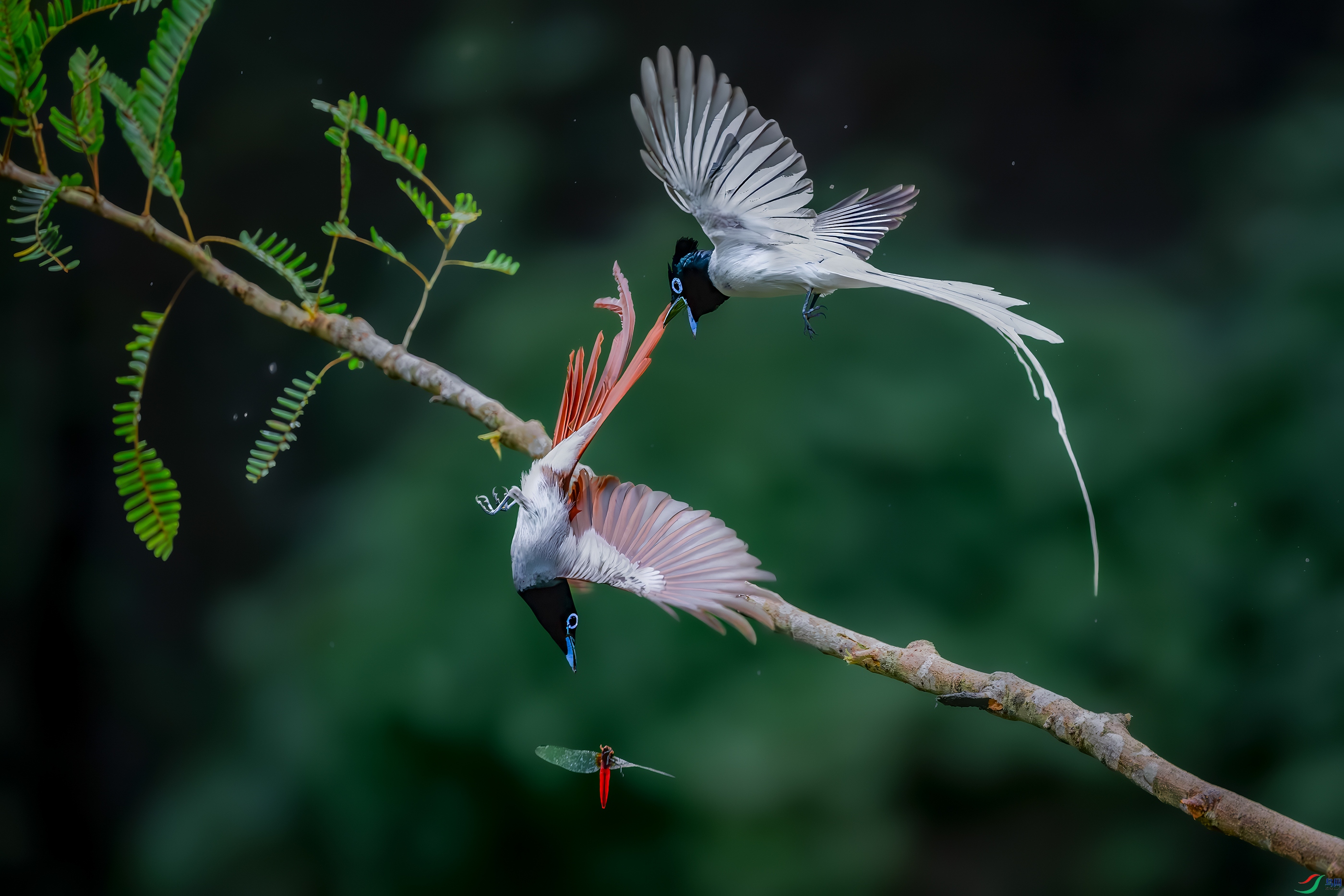 DSC_4140-����ǿ-NR-1 ���� 2.jpg