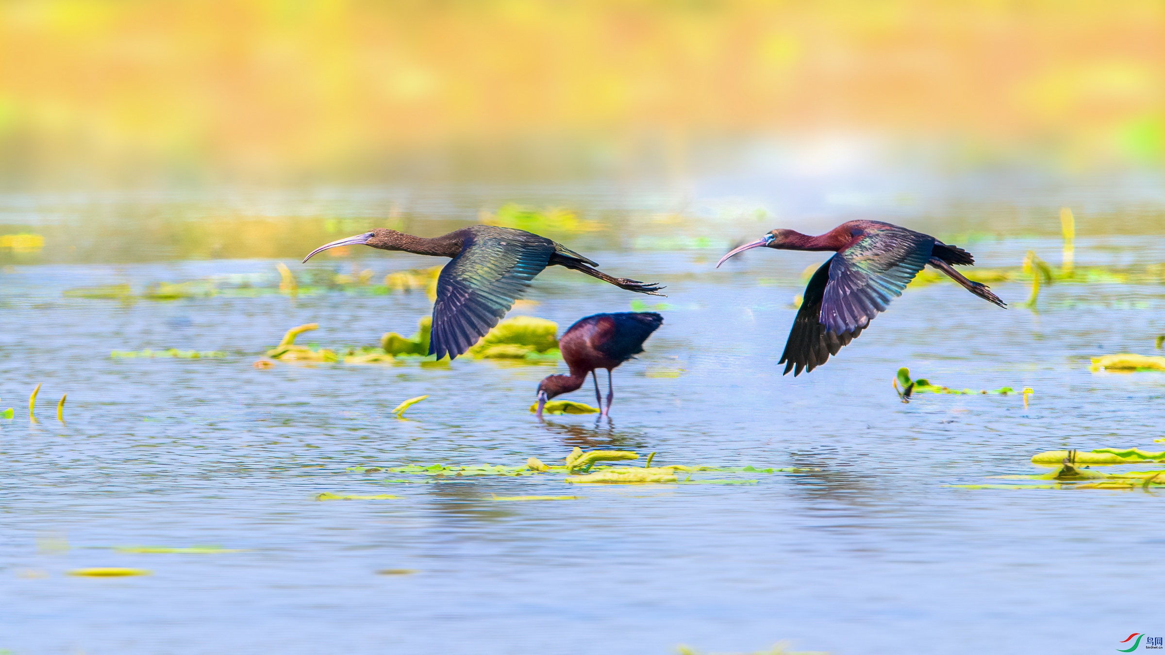 ��Ƭ_DSC9374 ����.jpg