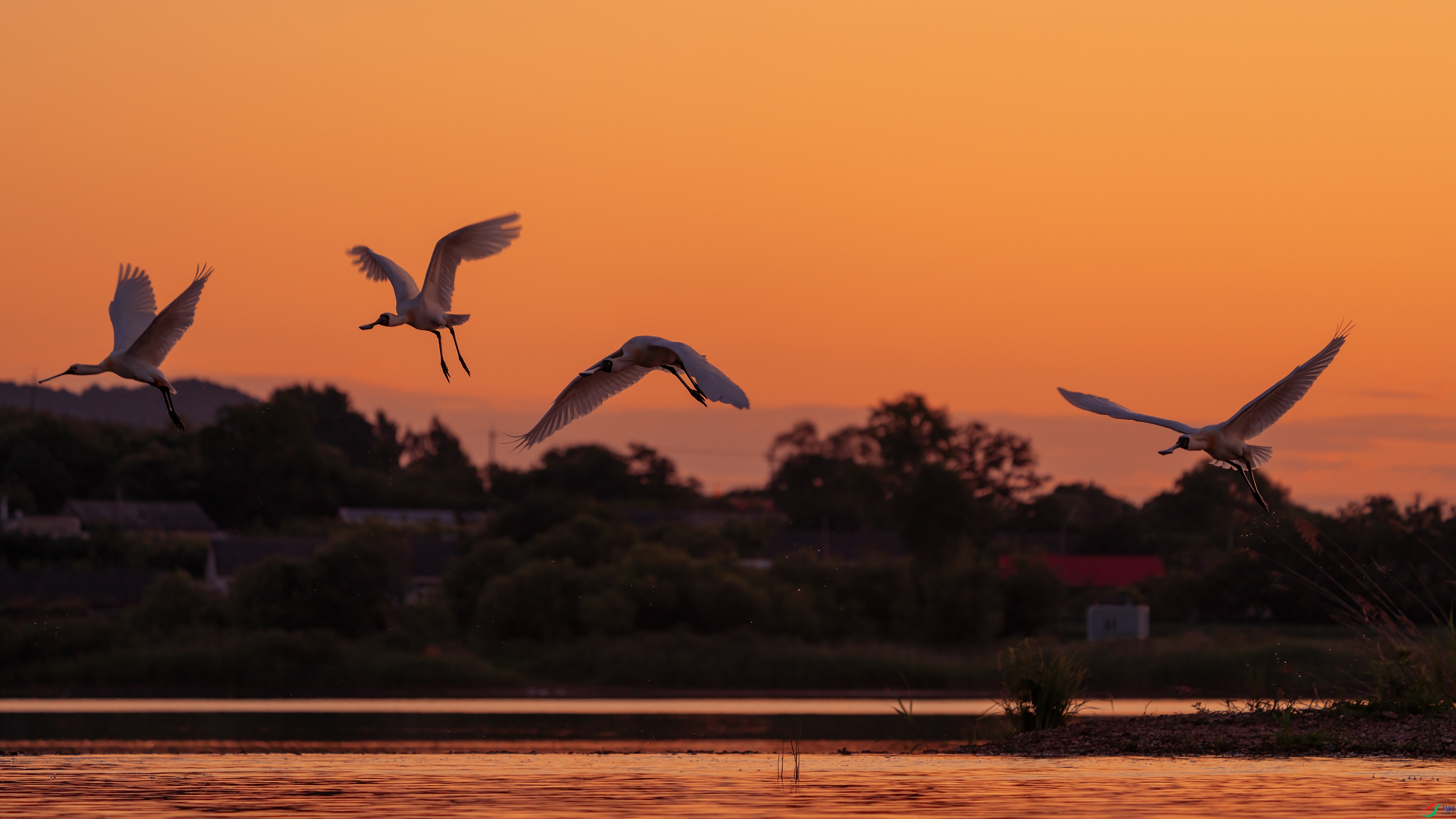 DSC09555 ���� 2.jpg