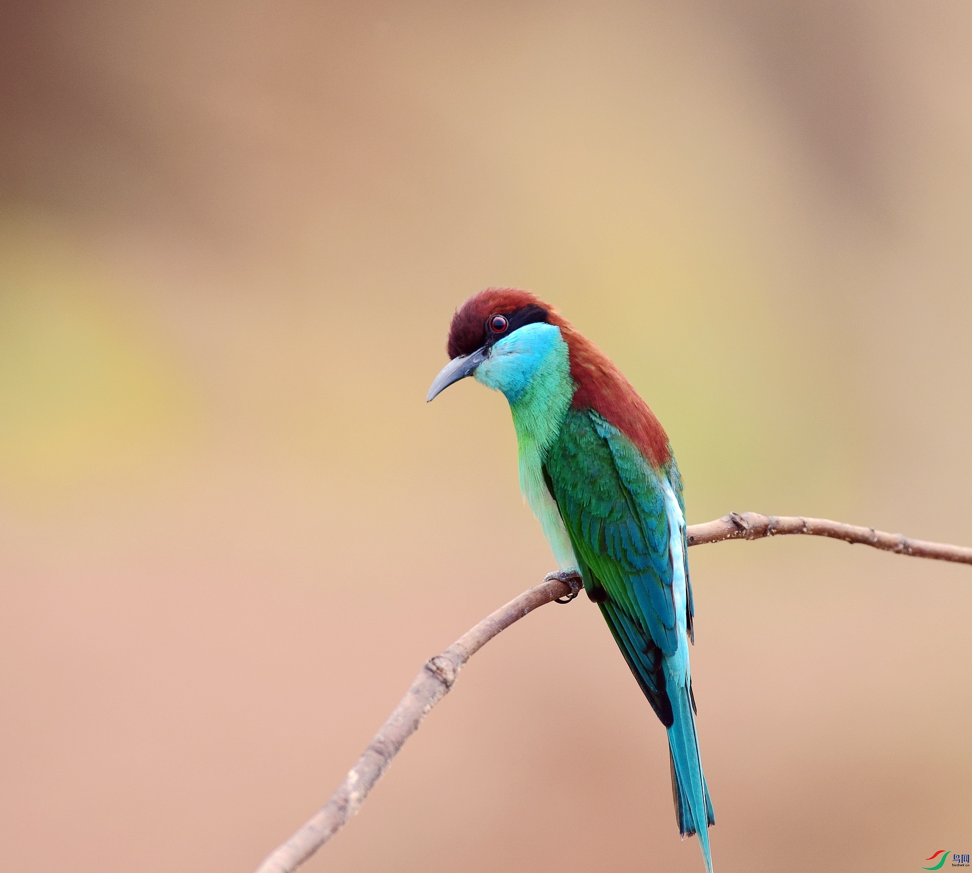 D8I_4644.jpg
