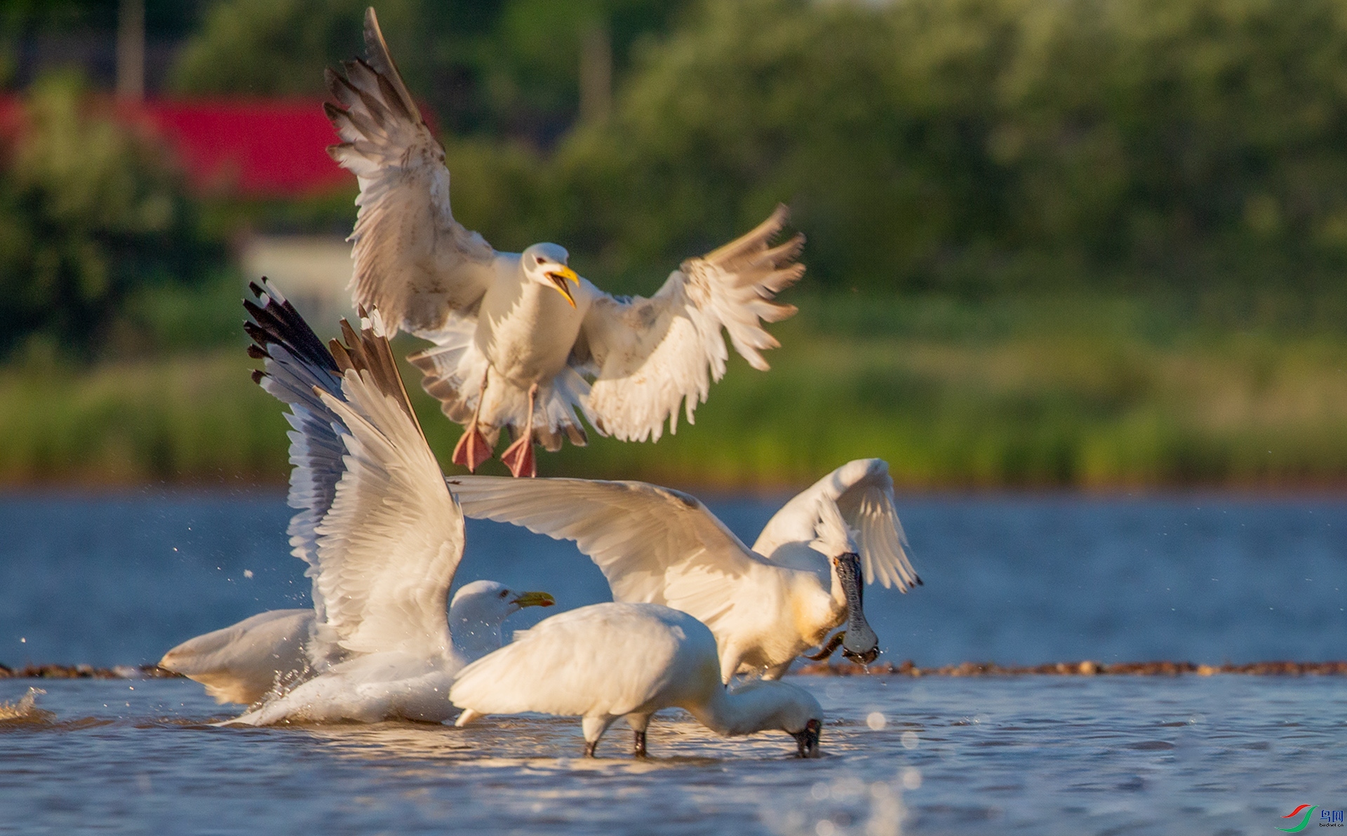 _16A7009����  02.jpg