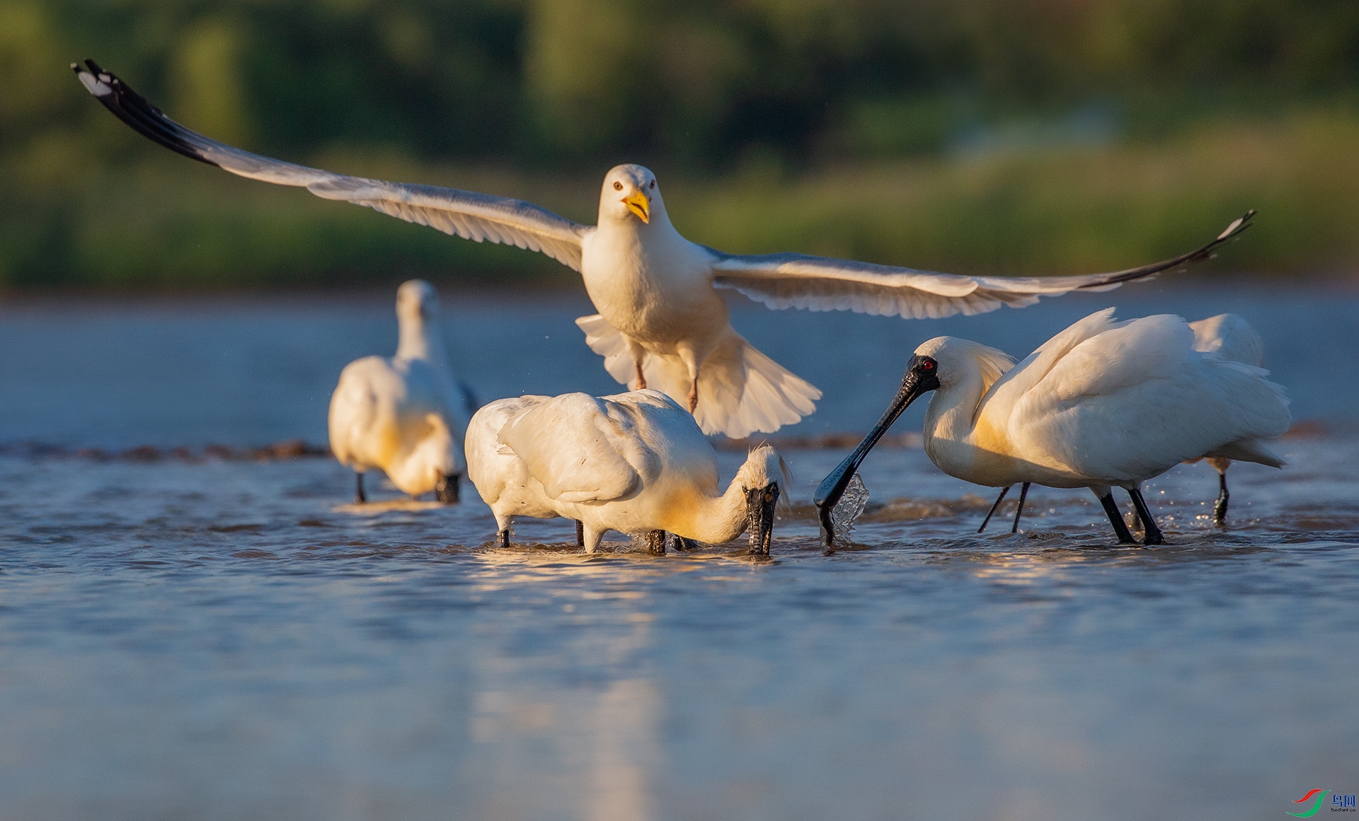 _16A7107����  02.jpg