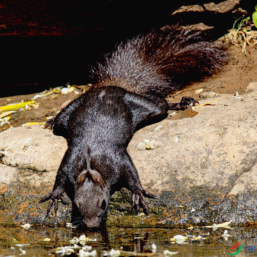 _90I6737 ����.jpg