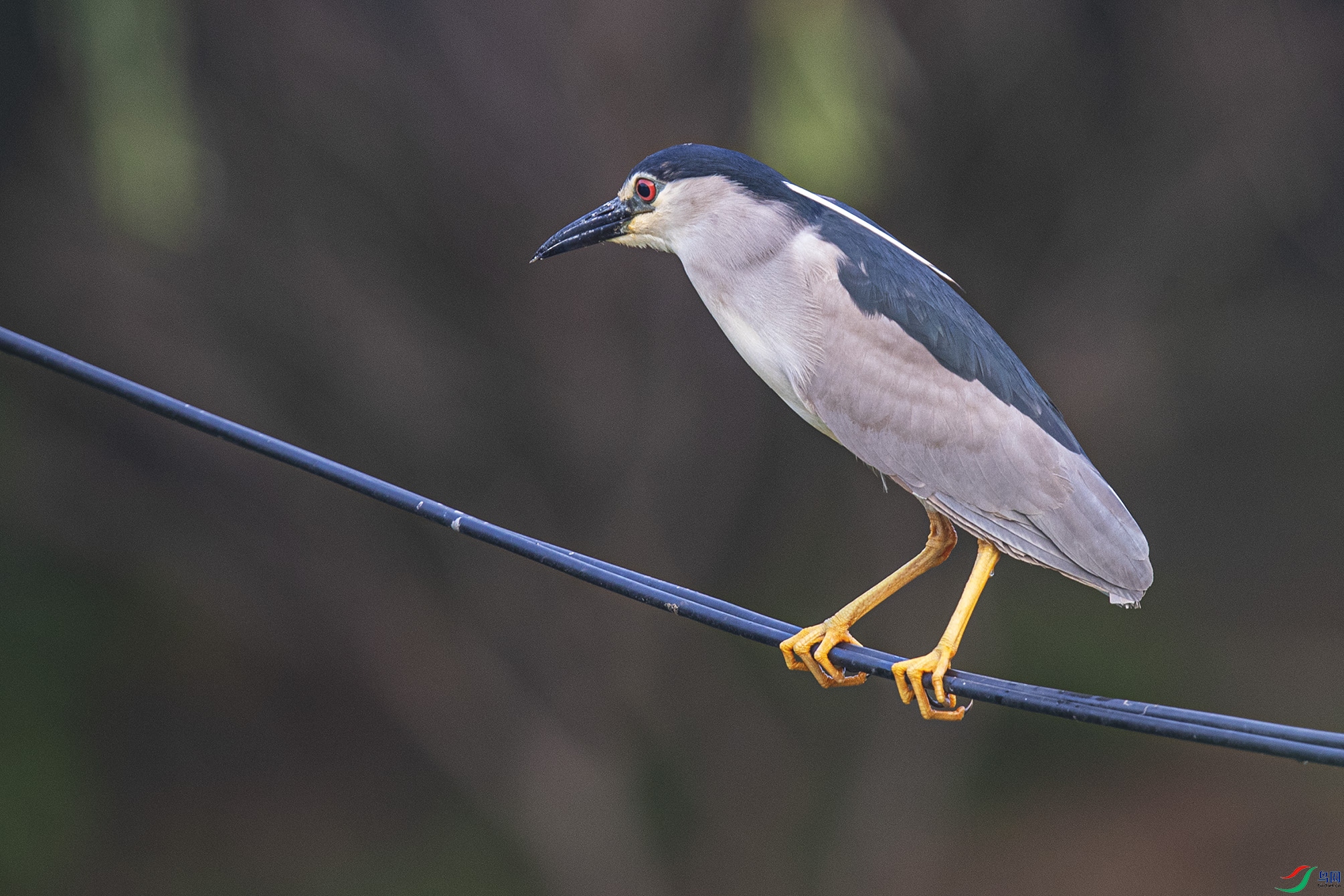 _90I9193 ����.jpg