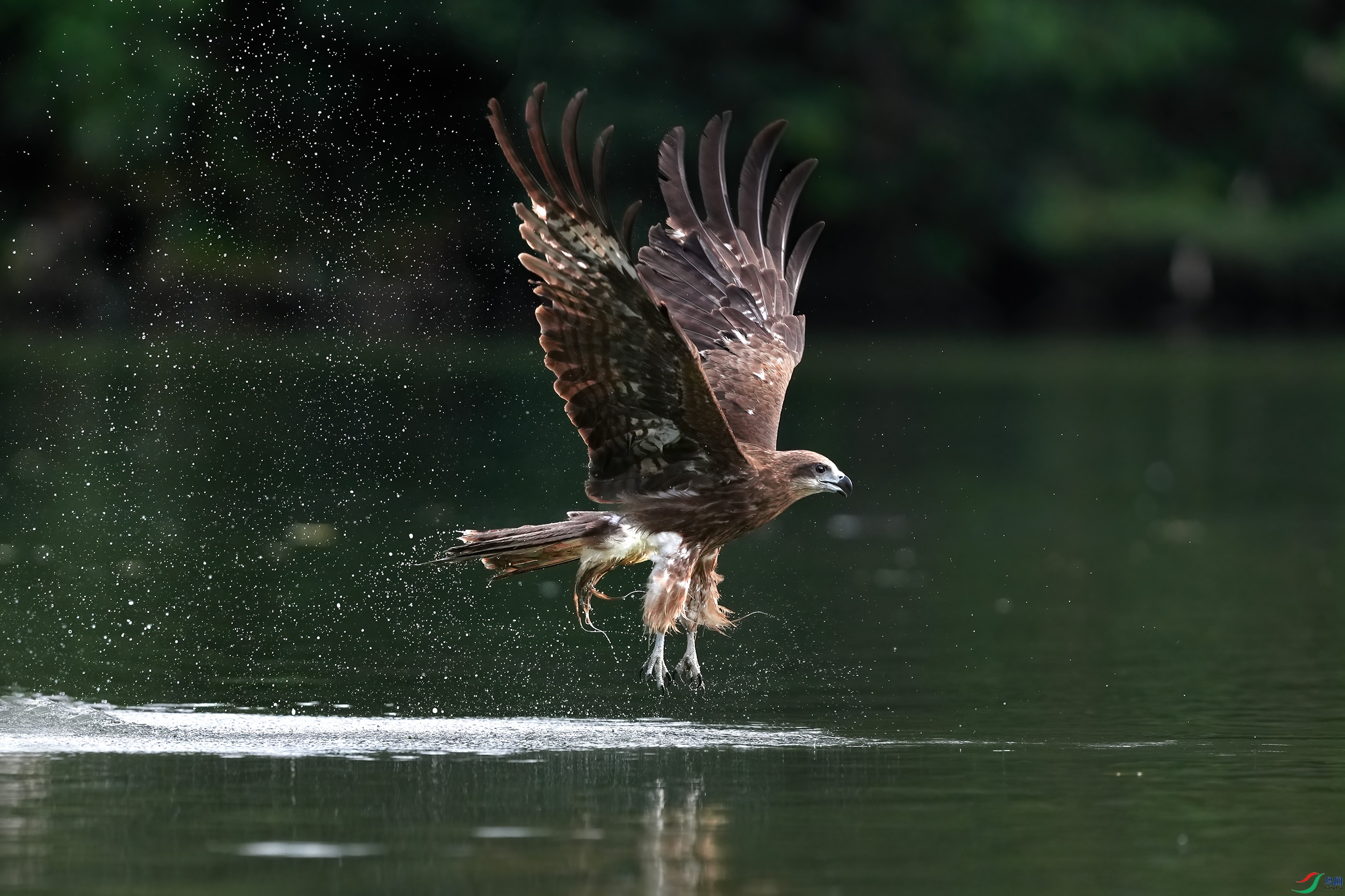 DSC04868 ����1.jpg