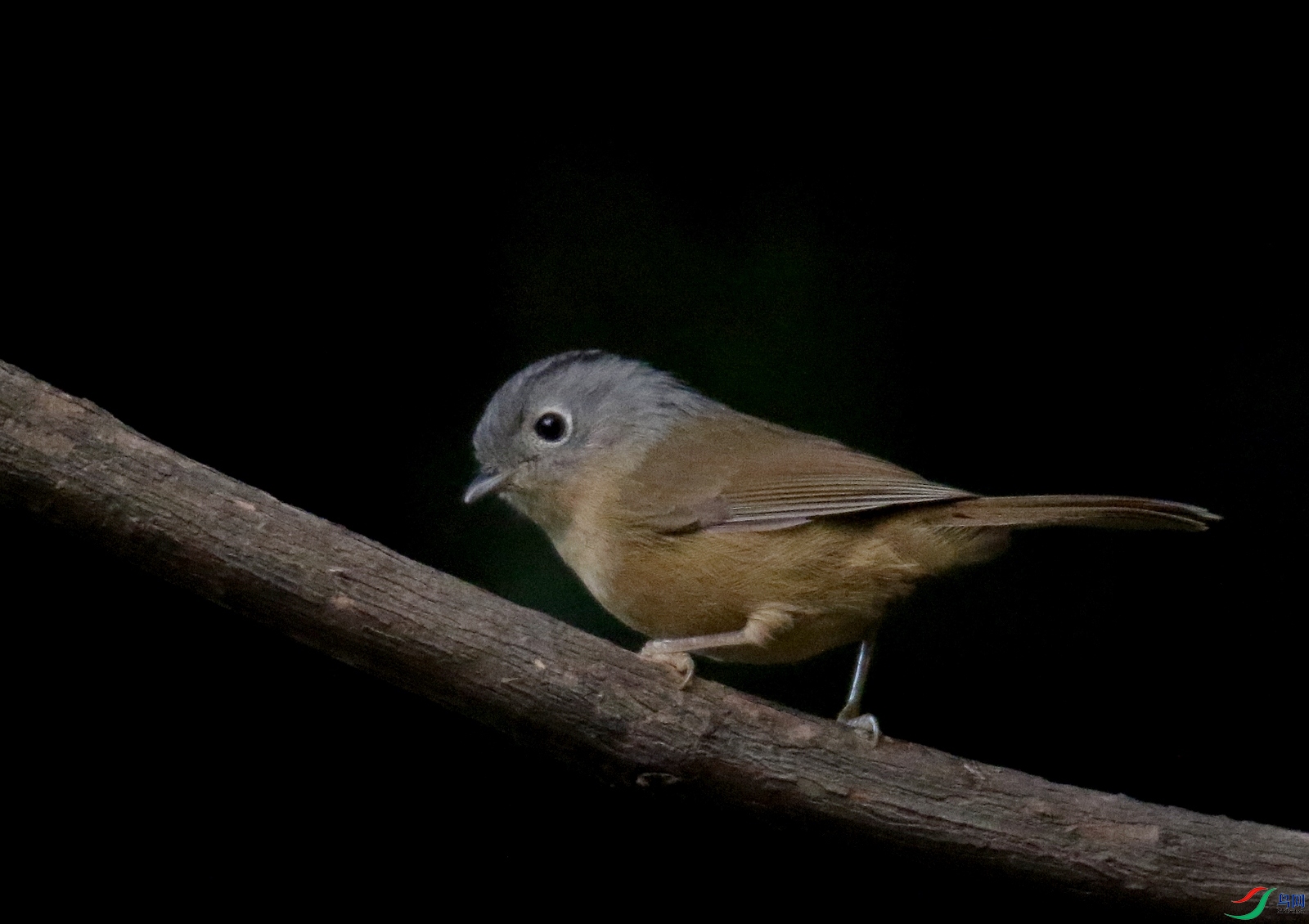 0F4A1105 - ����.JPG