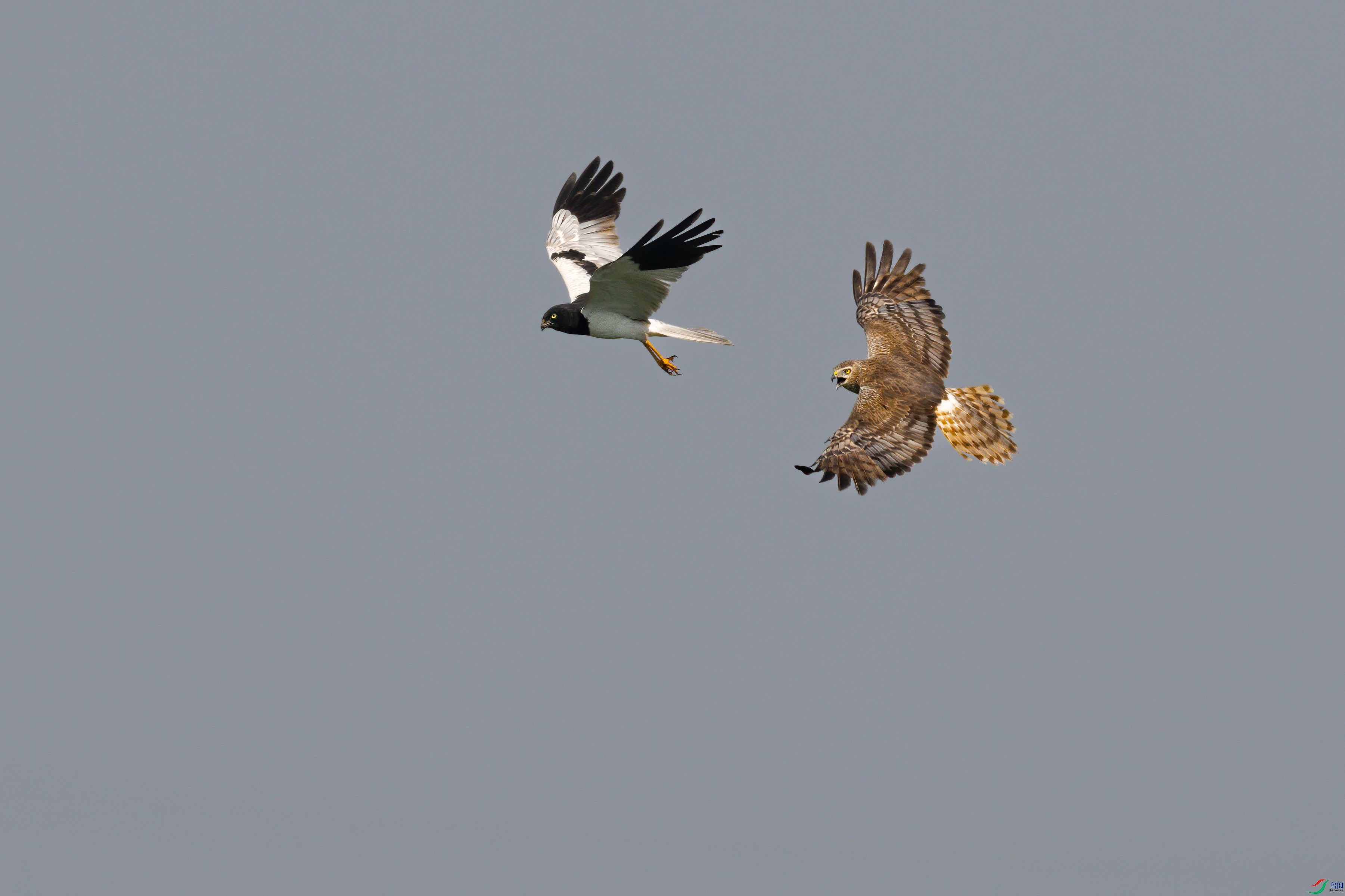 һ��ȵ�ο��н��Ӻ��˲��