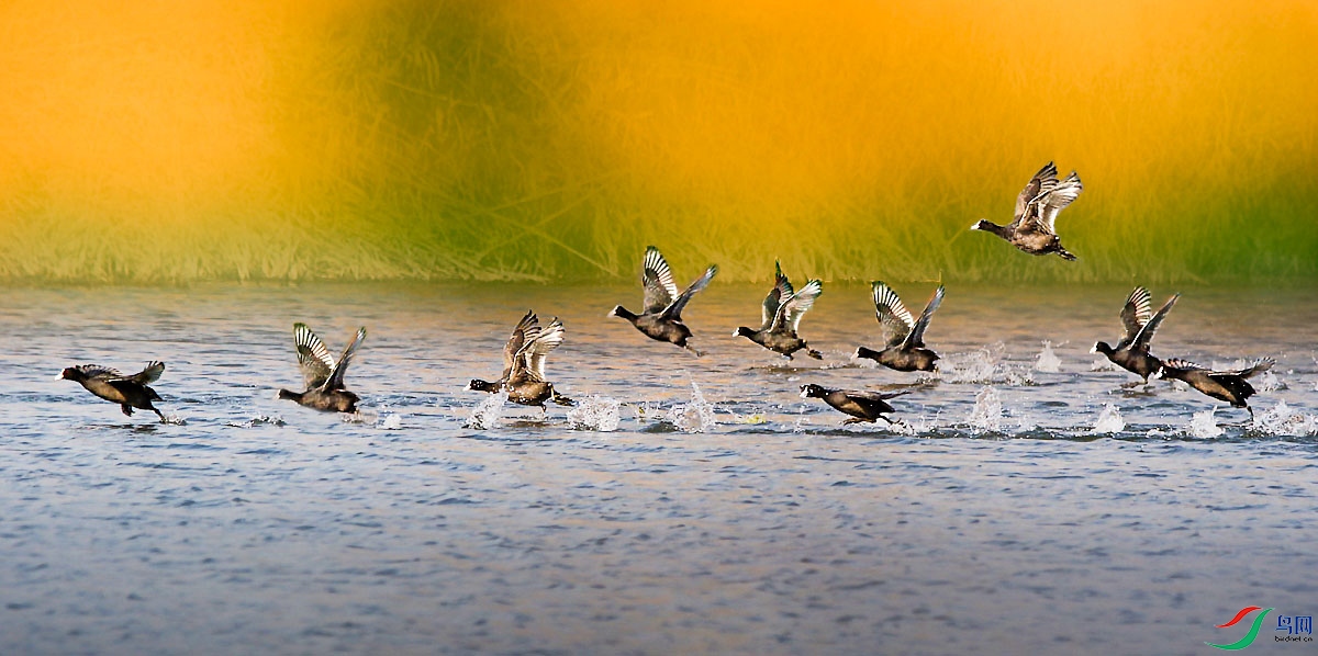 IMG_4413A ����.jpg