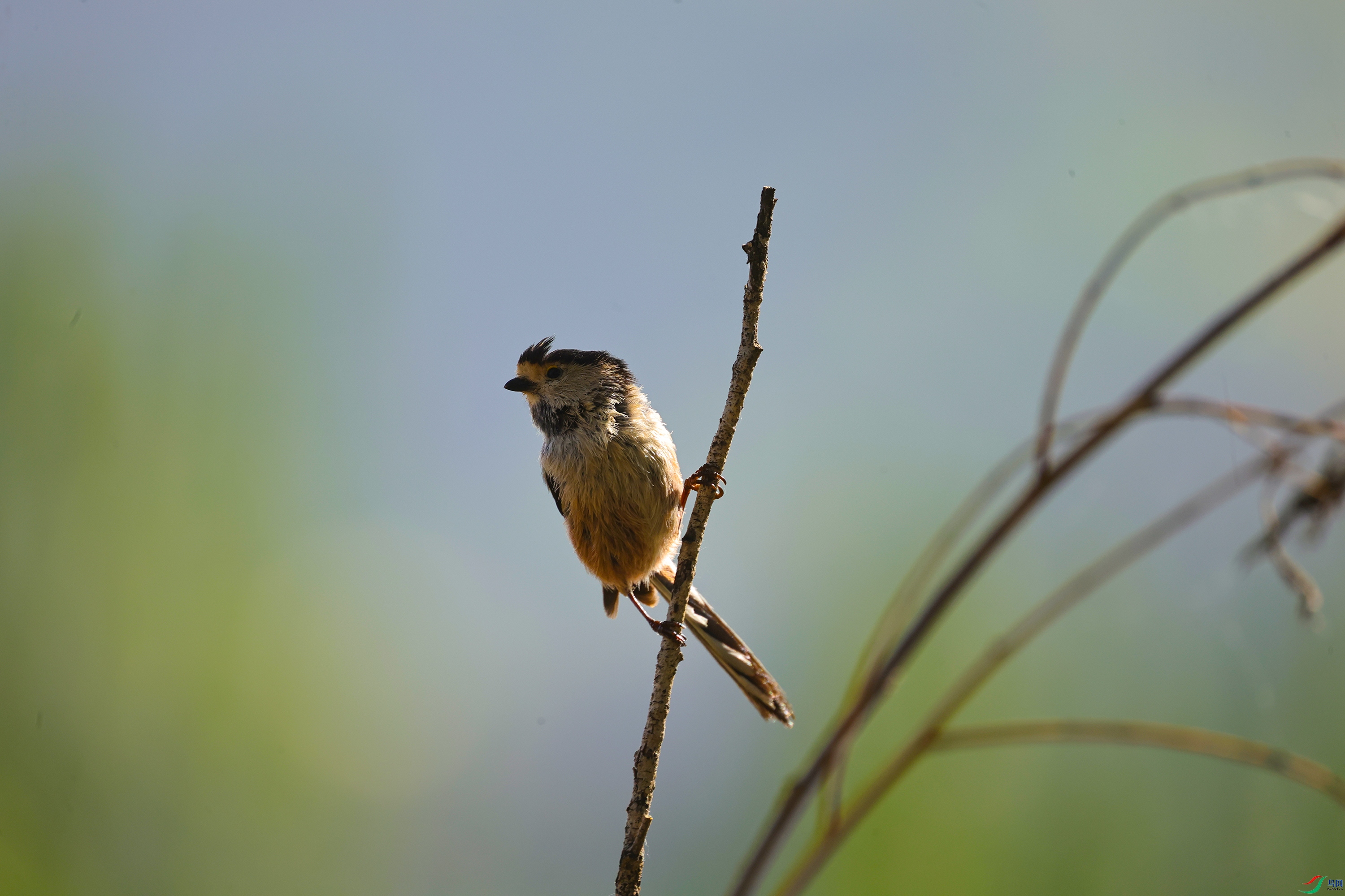 7X5A9481 ����7777.jpg