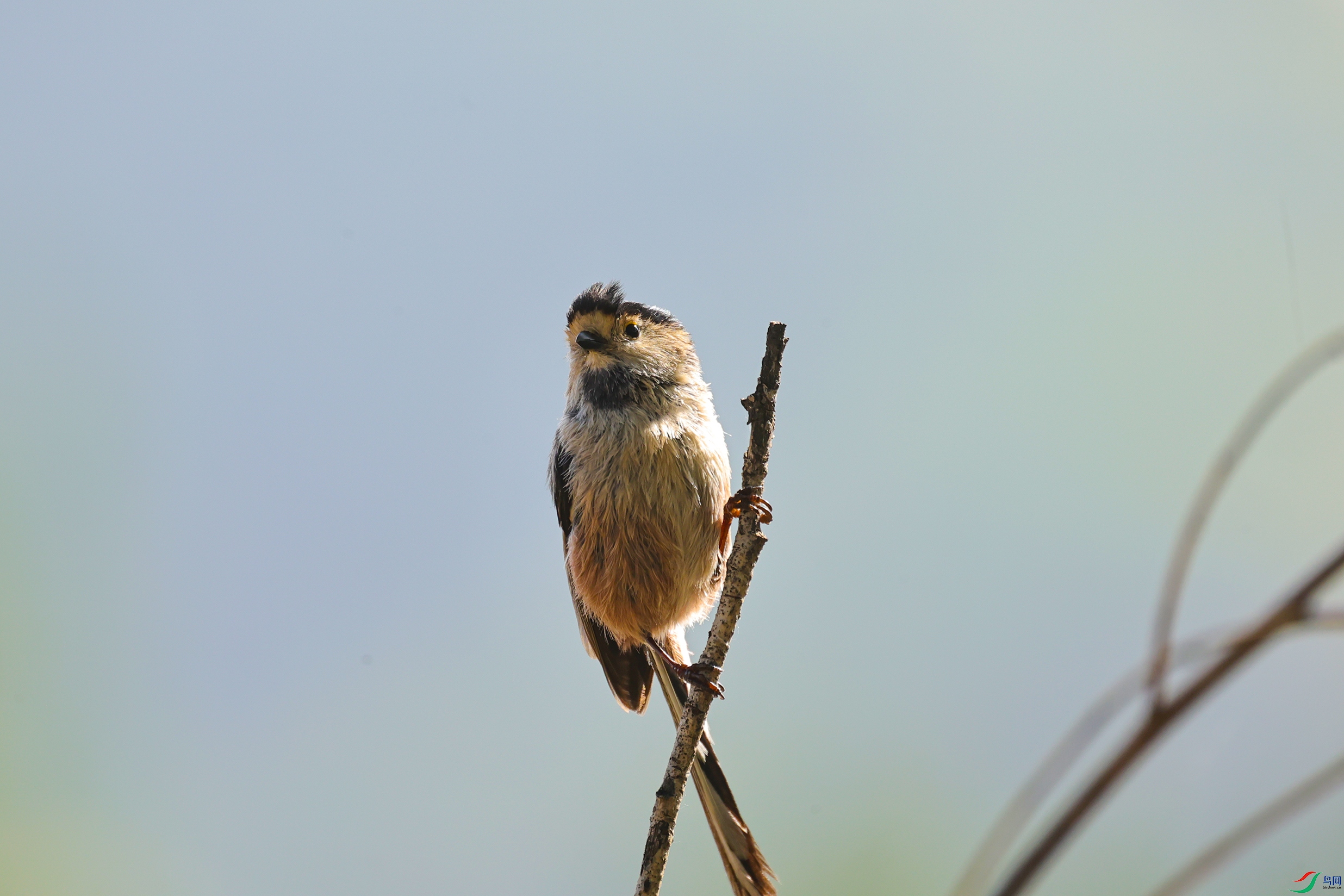 7X5A9492 ����77777.jpg