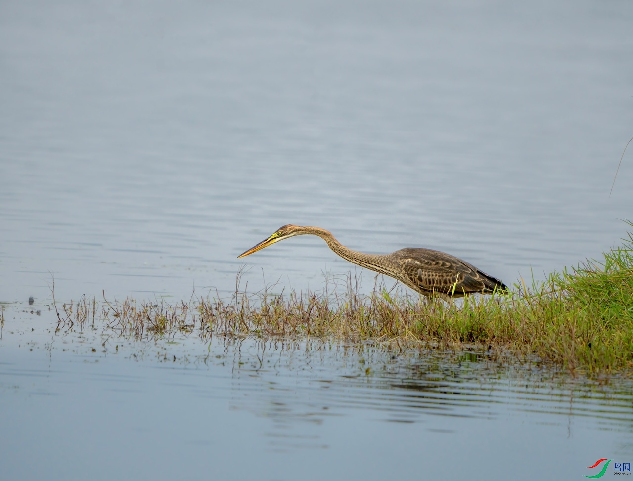 DSC05390-����ǿ ����.jpeg