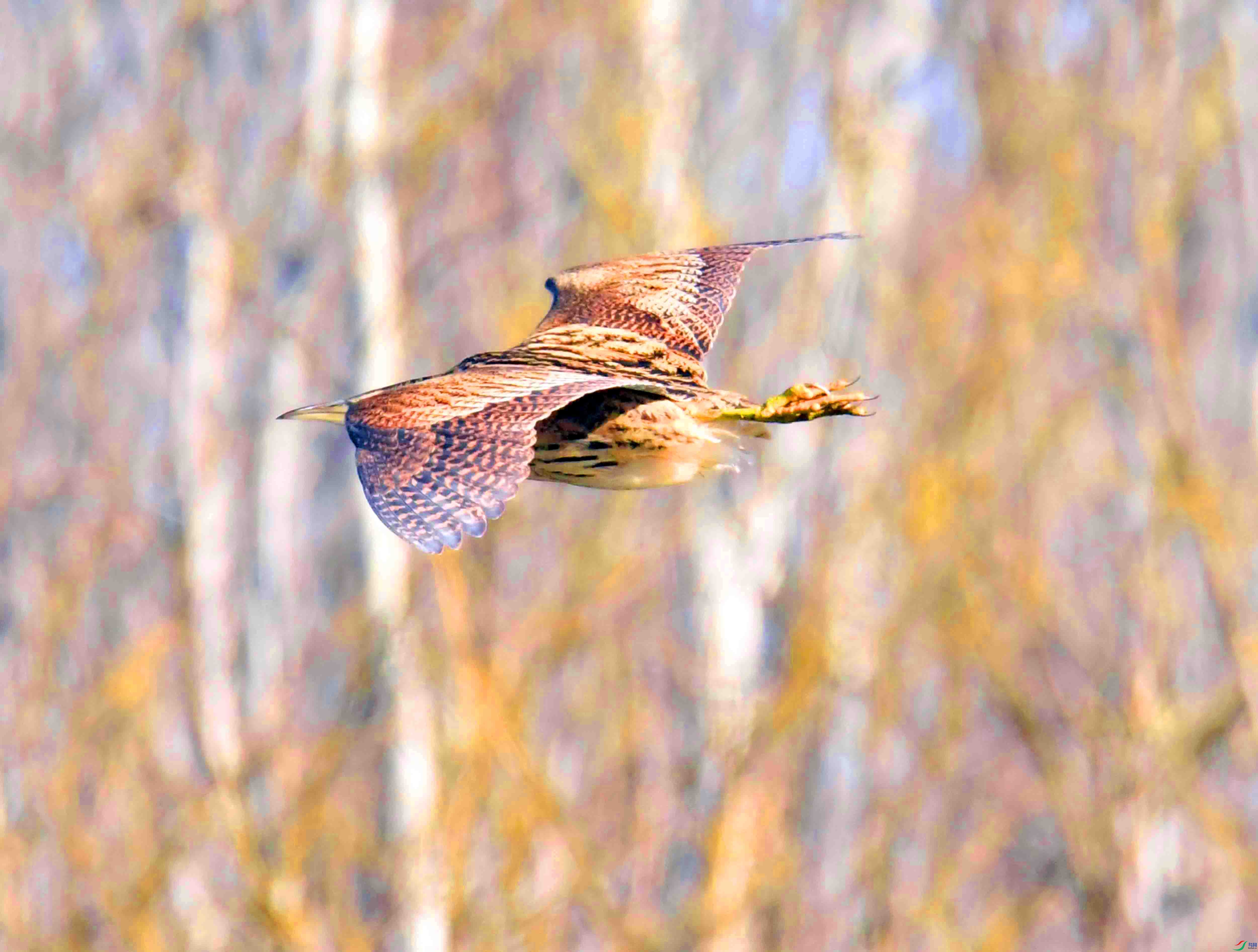DSC_3659.JPG