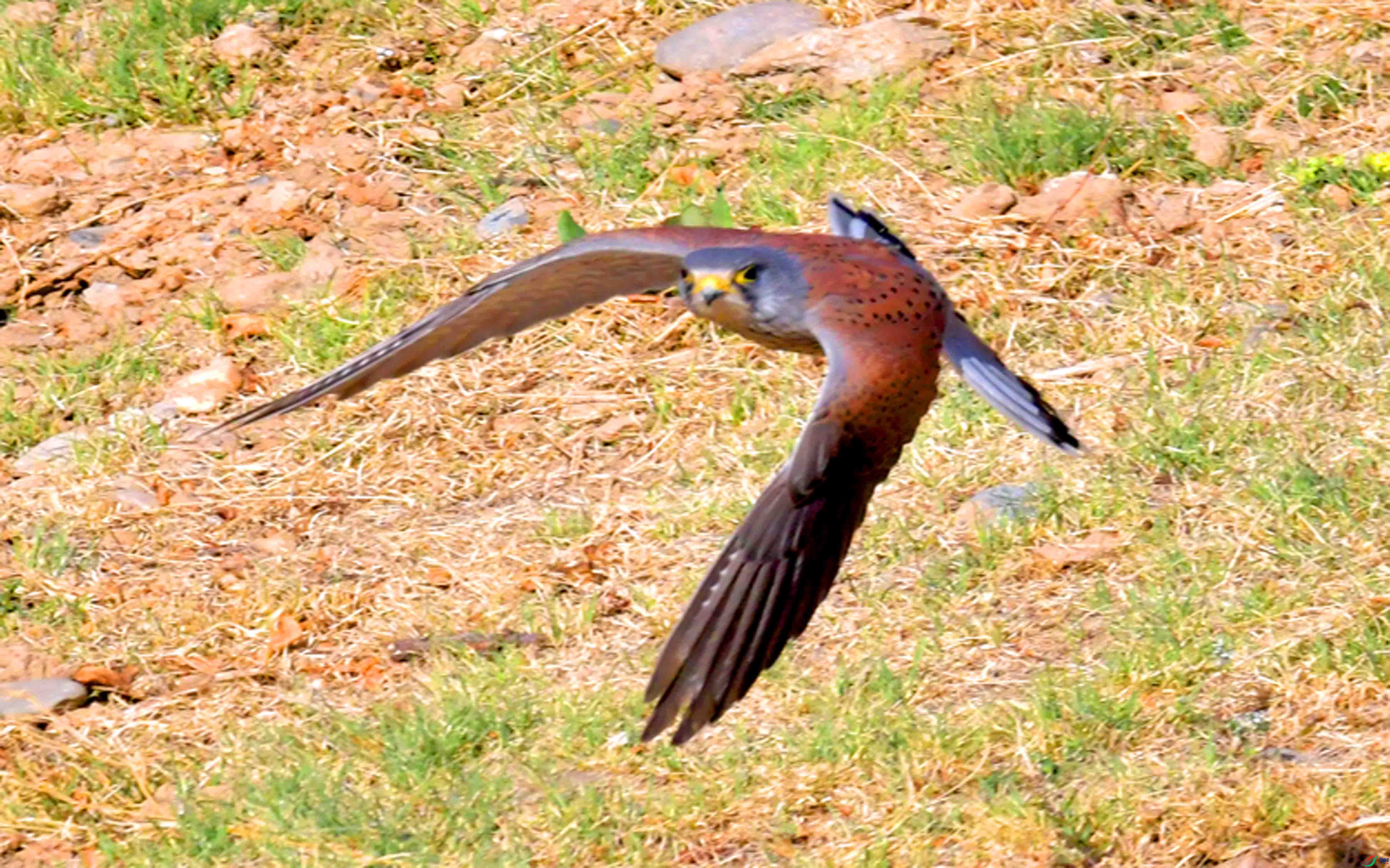 DSC_5722.JPG