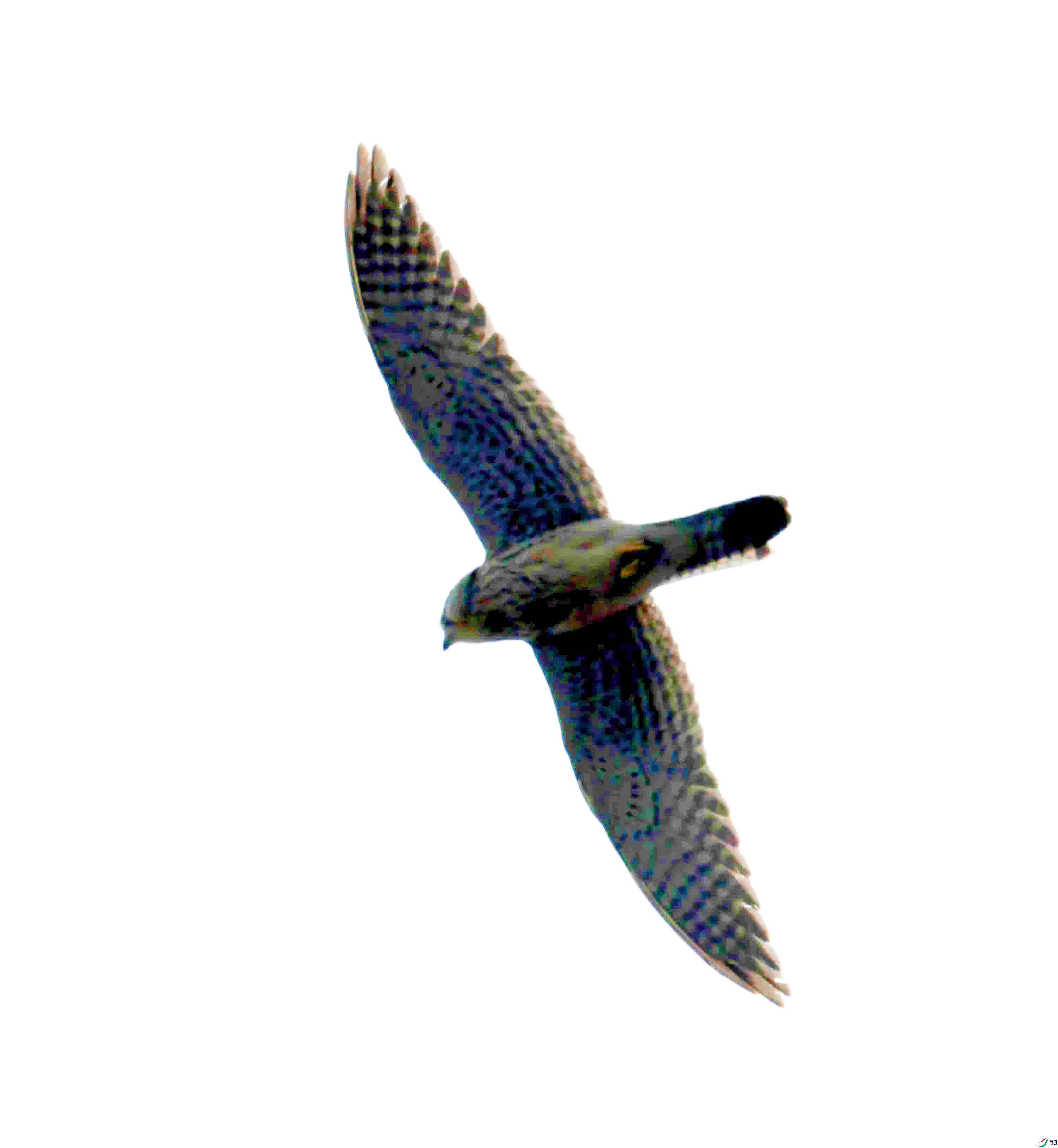 DSC_6389.JPG