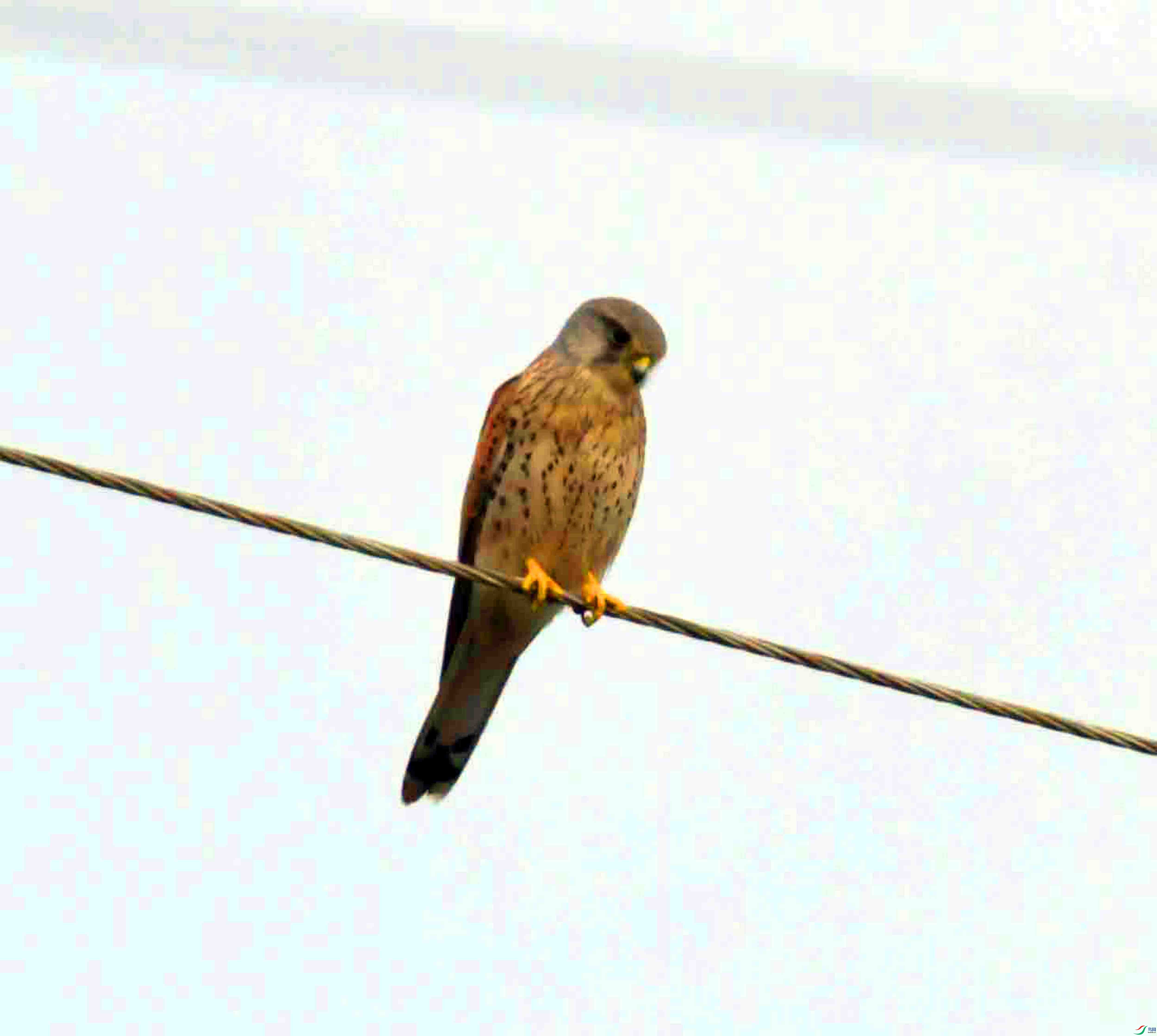 DSC_7692.JPG