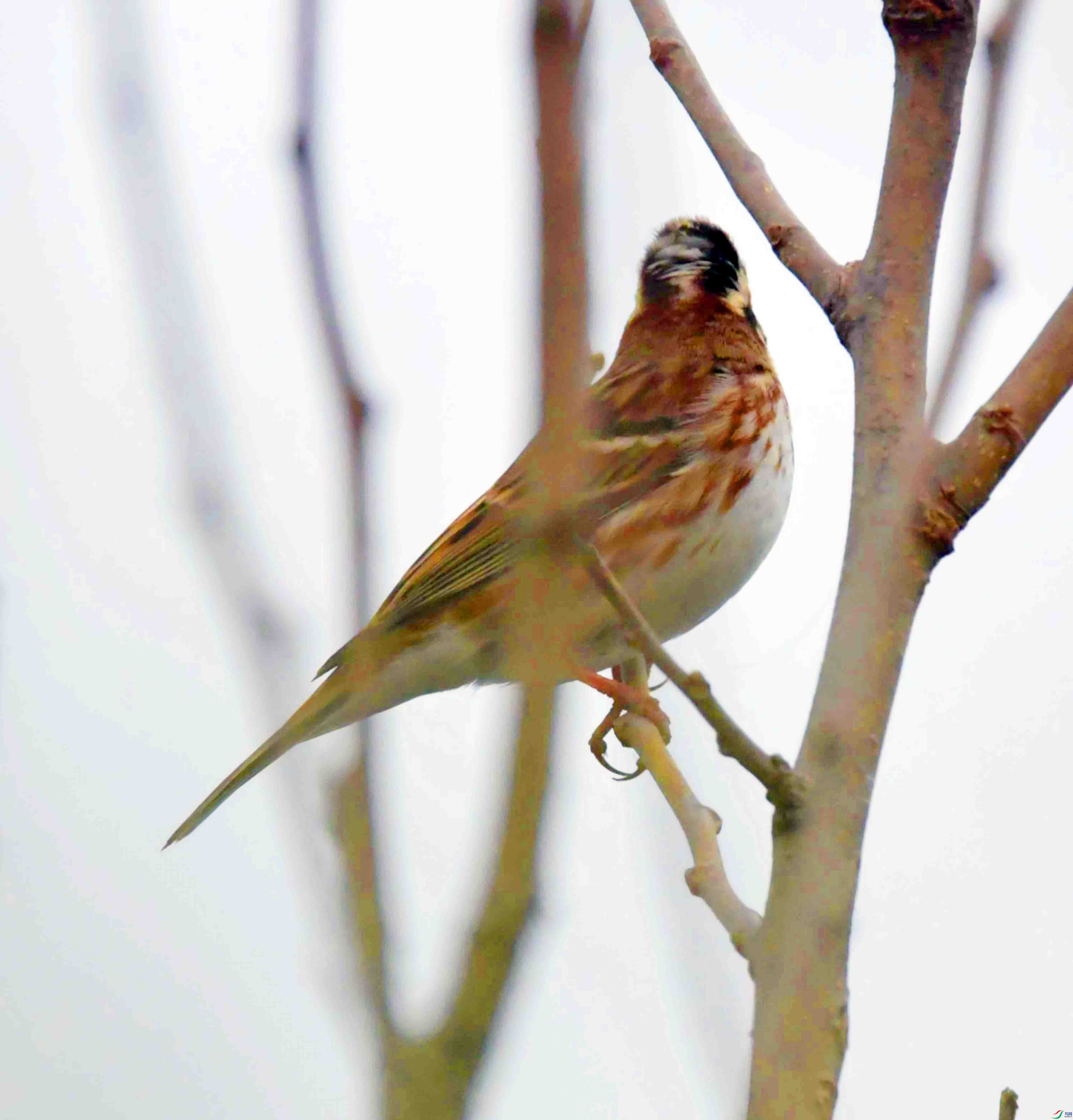 DSC_3769.JPG