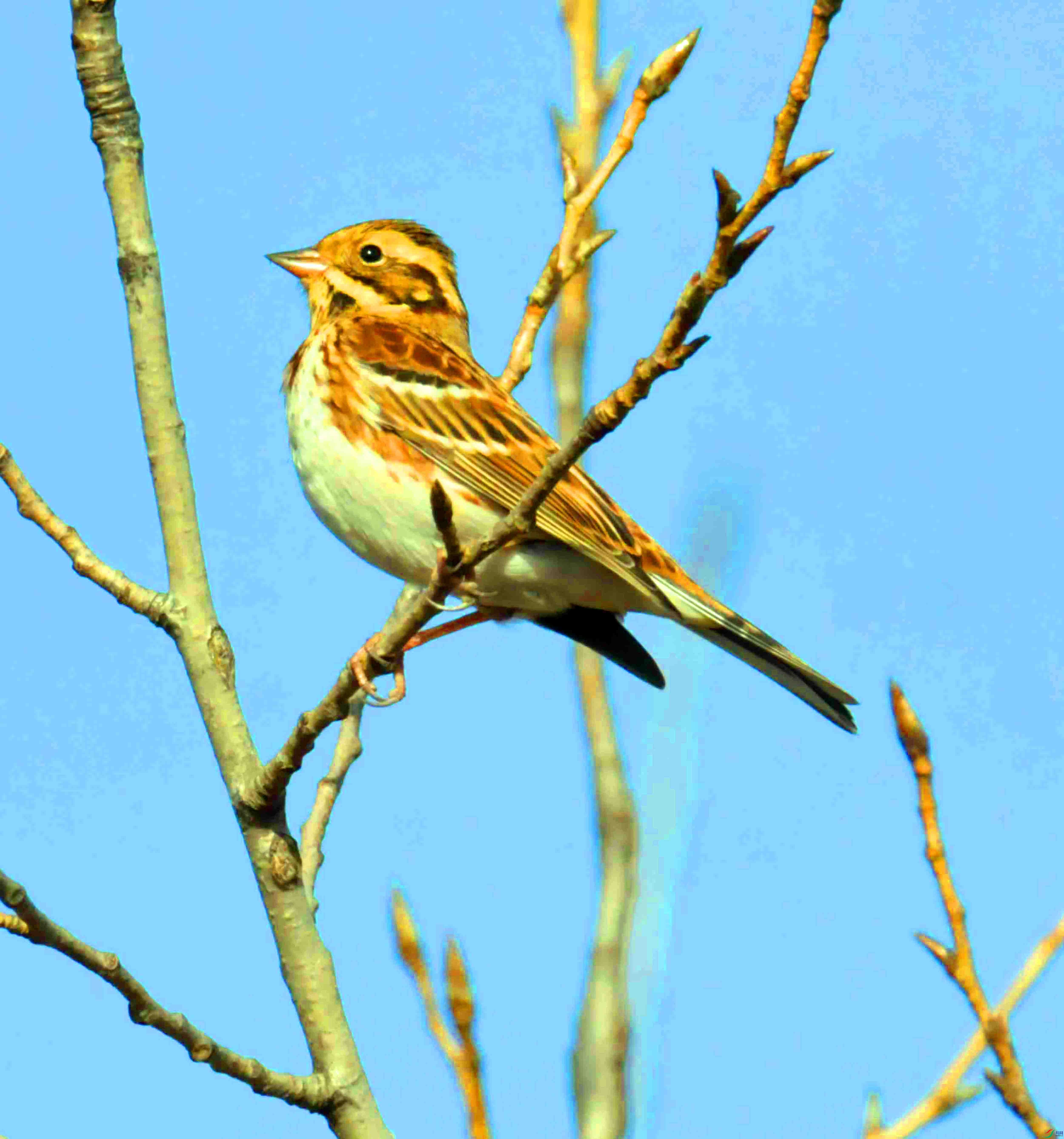 DSC_3865.JPG