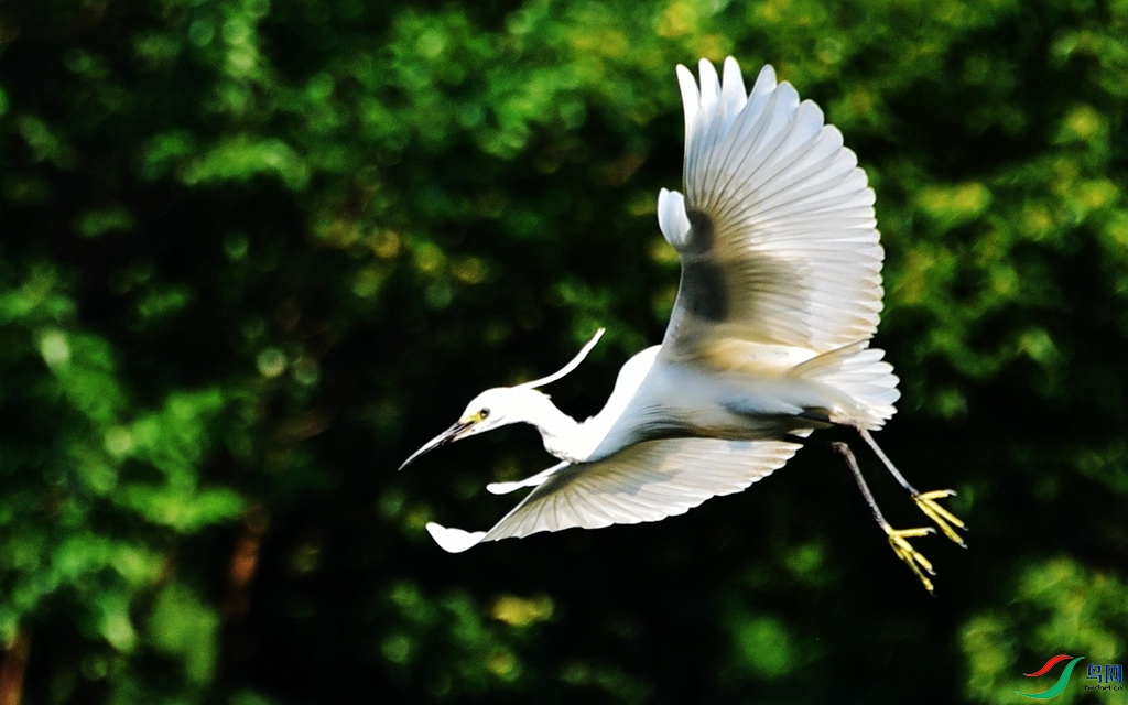 781 (5)_����.jpg