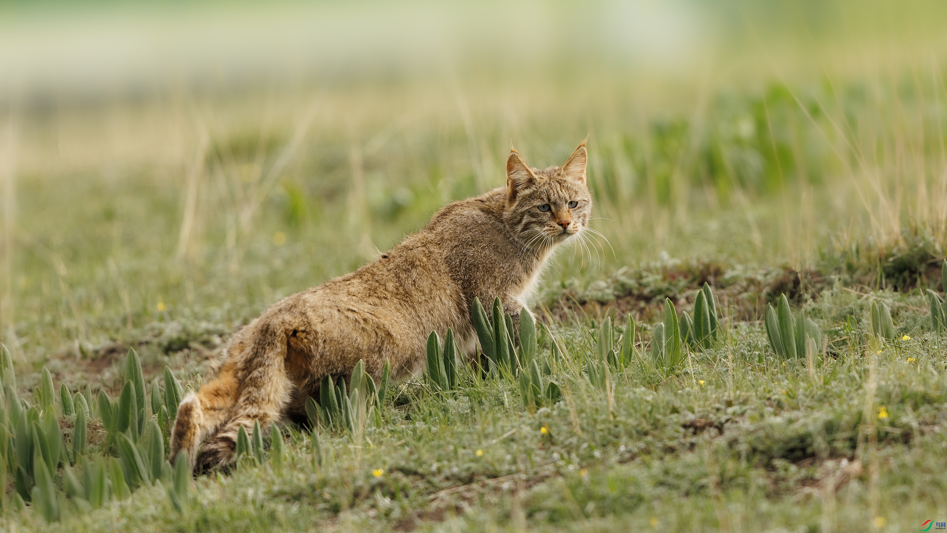 7X5A0650 ����55555.jpg