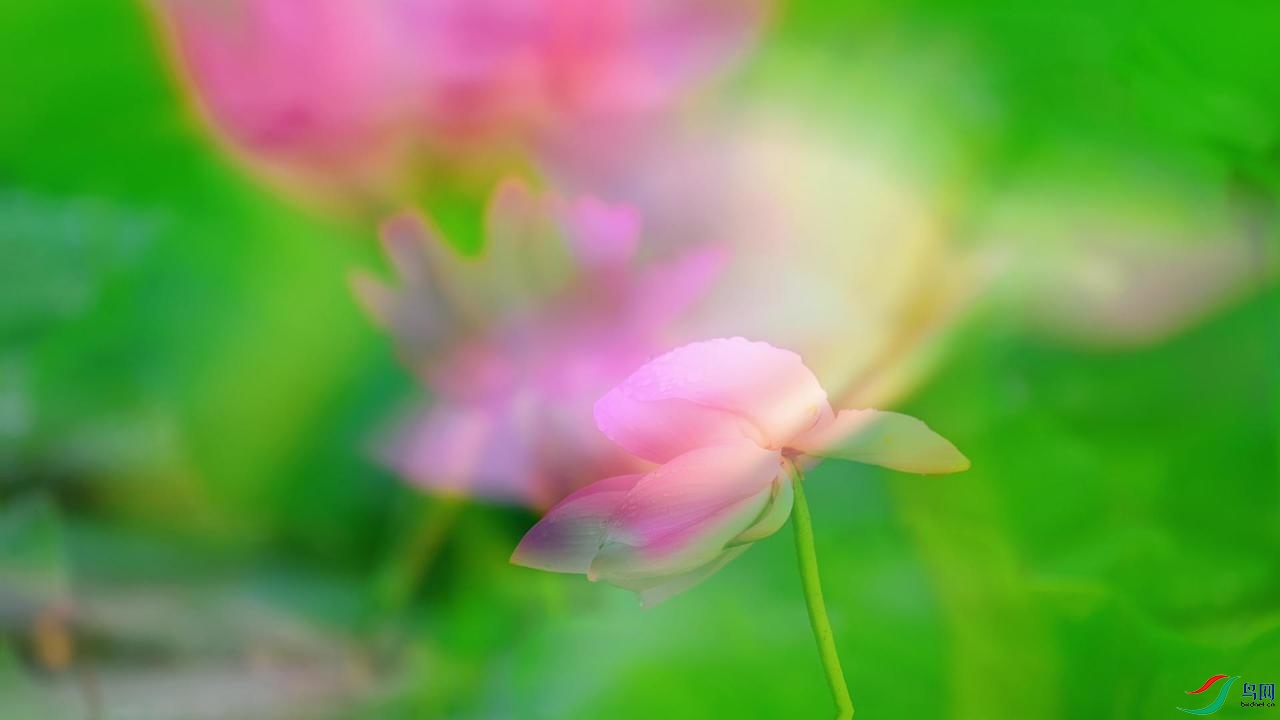 ���պ�������ͼ