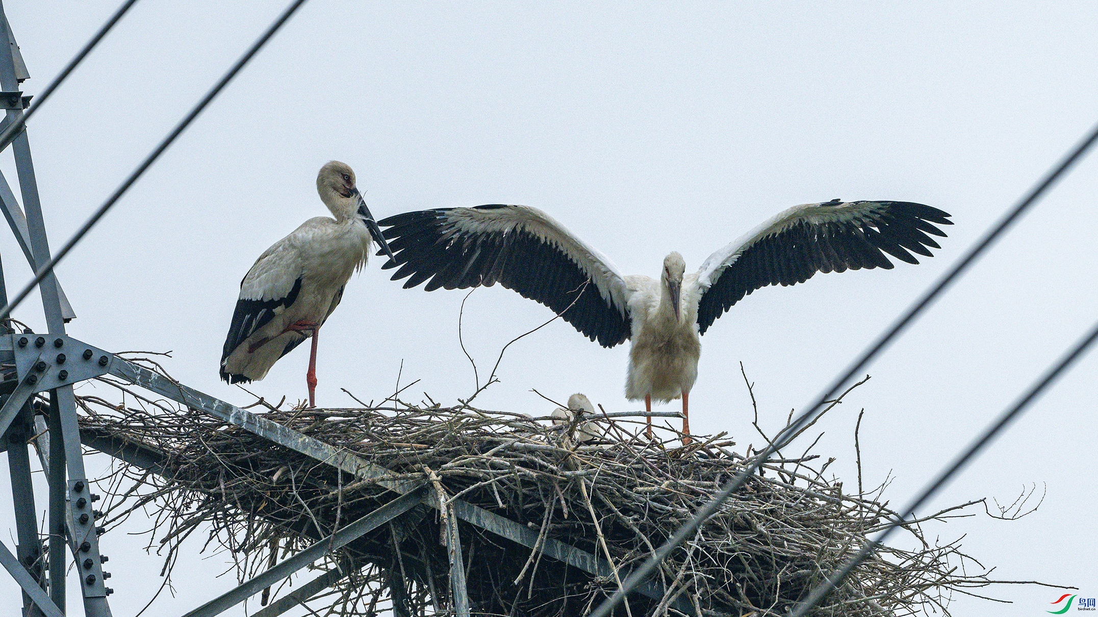 1625  ����.jpg