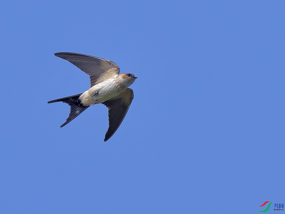 P6221204_DxO - ����.jpg