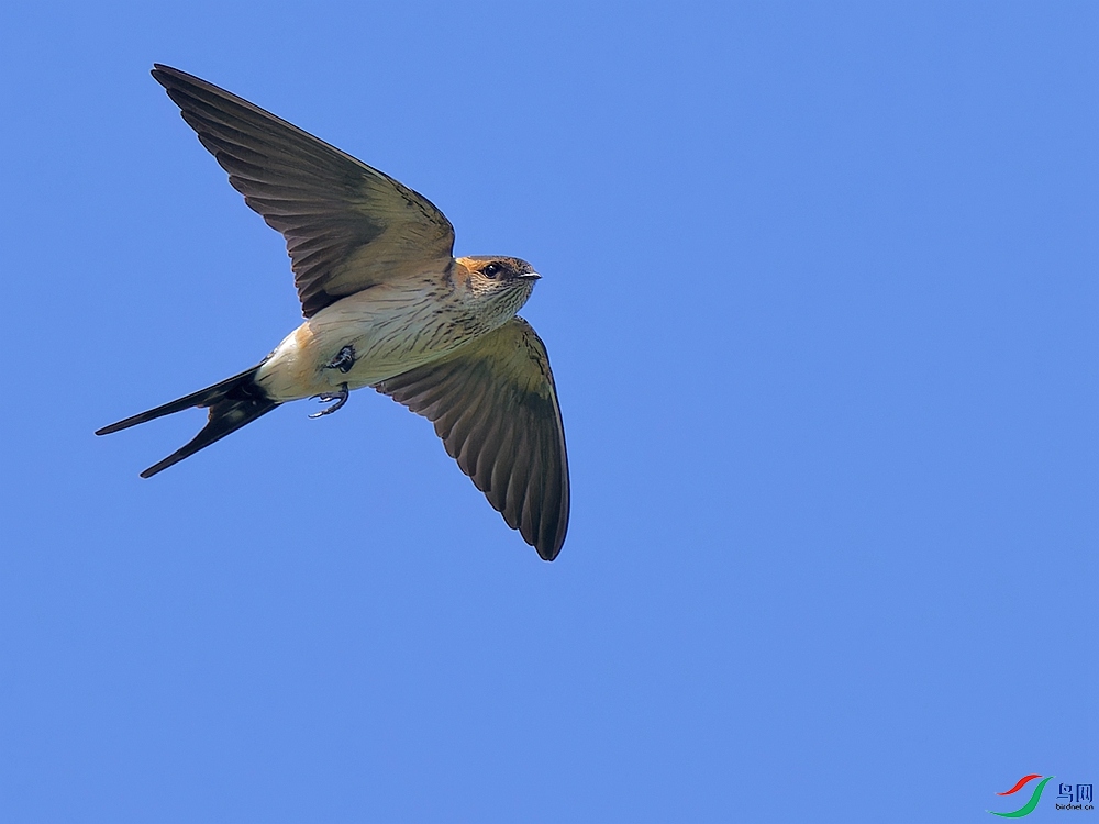 P6221220_DxO - ����.jpg