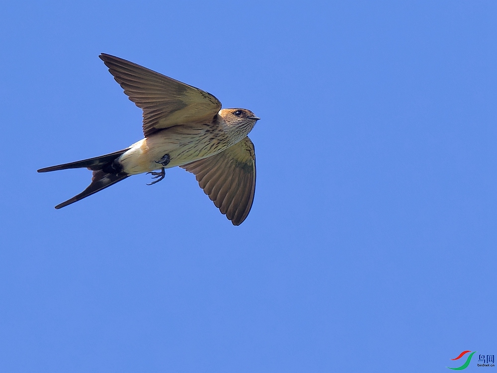 P6221223_DxO - ����.jpg