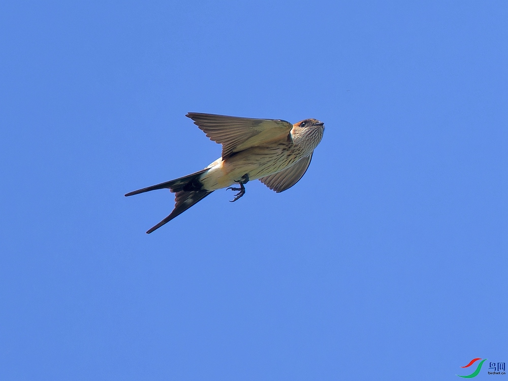 P6221230_DxO - ����.jpg