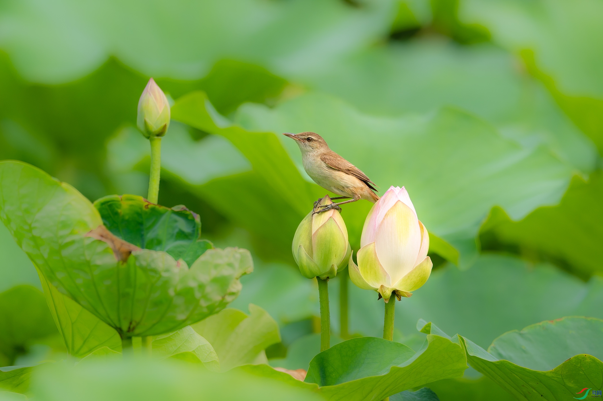 sen2016 7-5-4-�༭-2.jpg