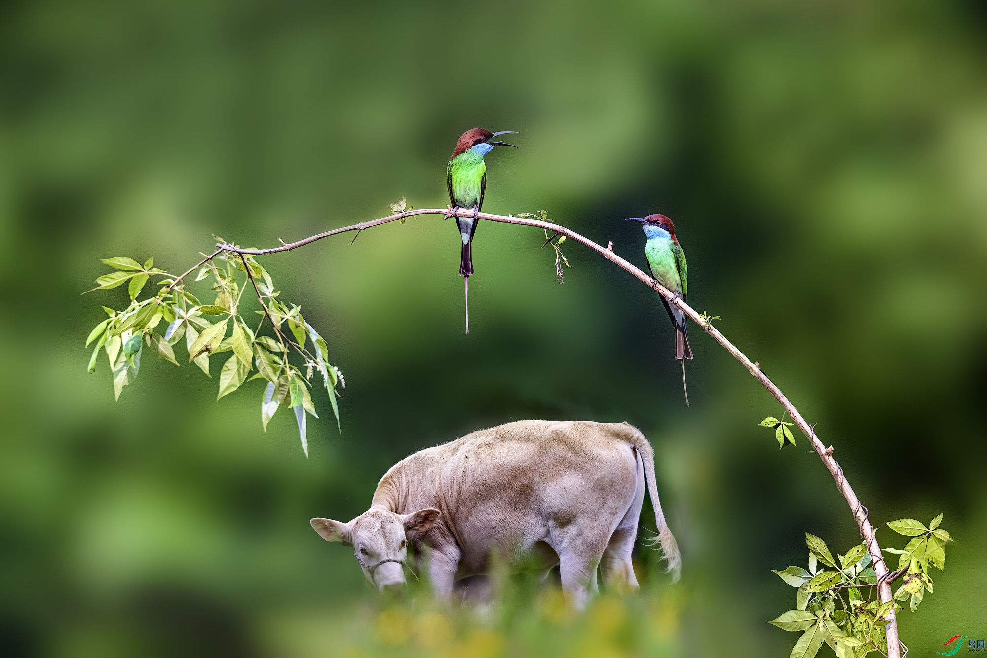 _DSC4203 b����.jpg